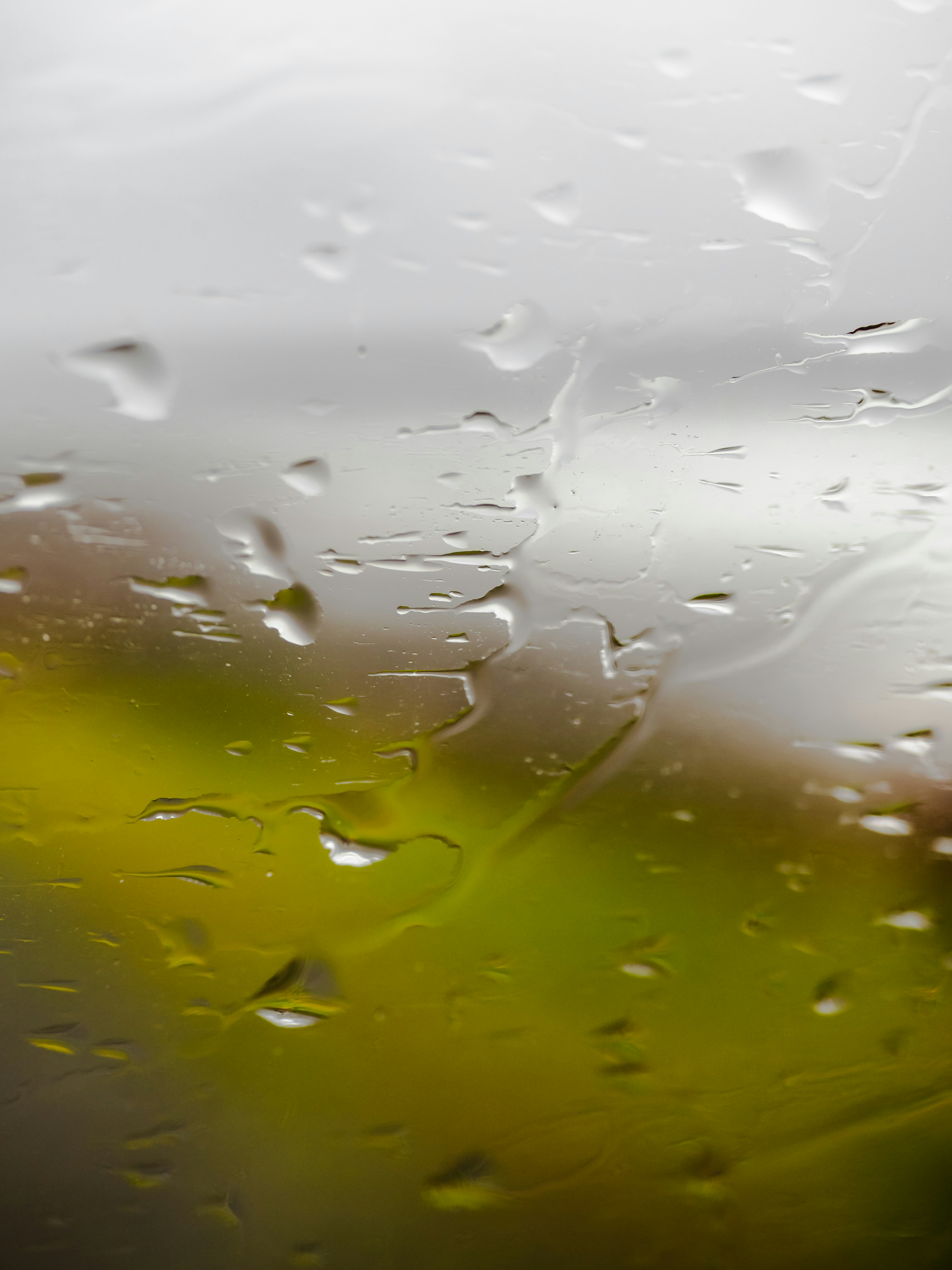 Photo by greg_rosenke