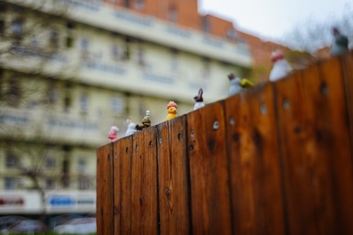 Small figurines representing various animals and characters, including a duck and a dog, are perched on top of a wooden fence. The background shows a blurred image of a multi-story residential building, creating a contrast between the sharp focus of the fence and the out-of-focus backdrop.