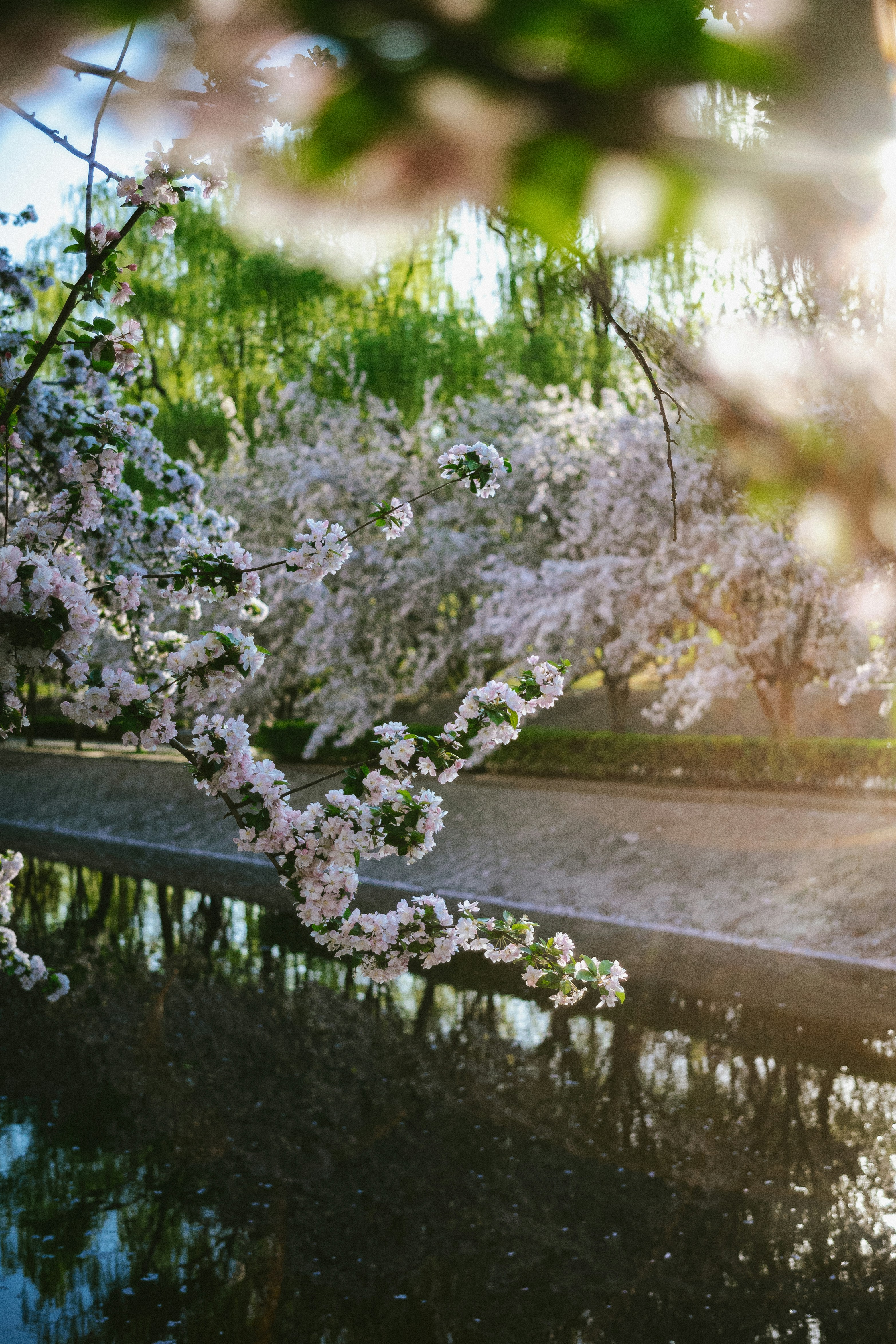 Photo by tommaomaoer