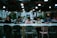 A group of friends happily voting on their devices for dinner options.