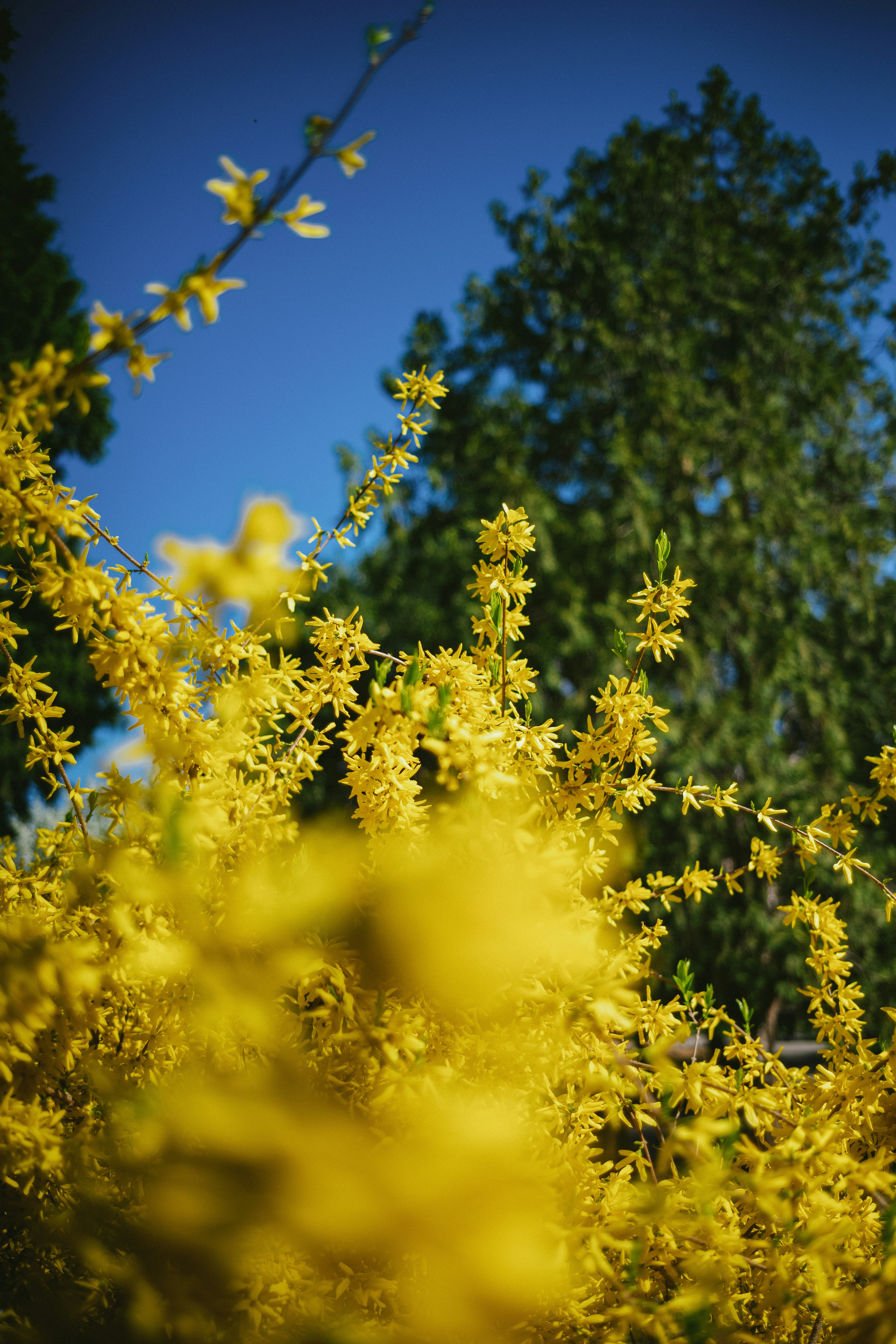 Photo by tommaomaoer