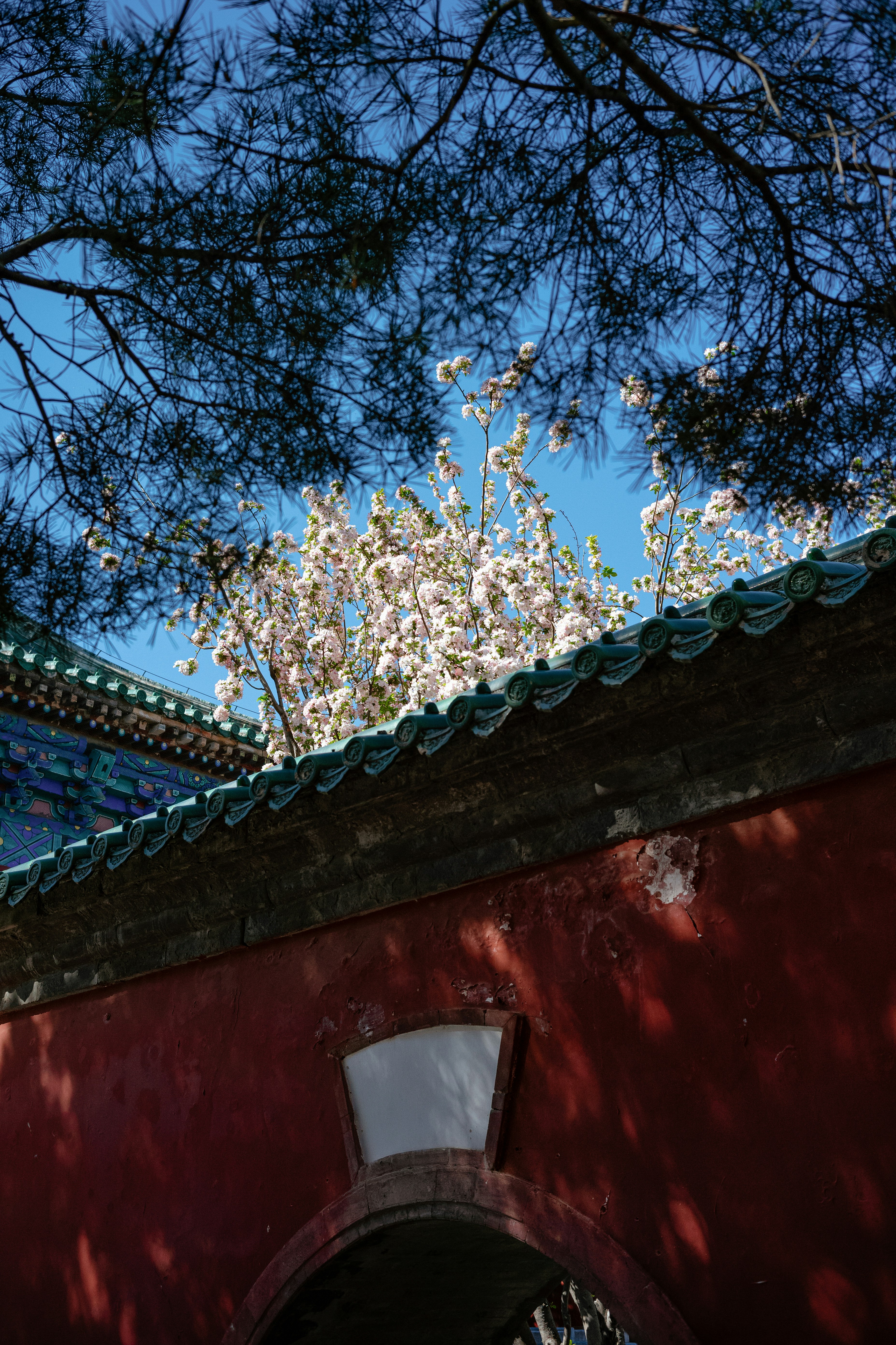 Photo by tommaomaoer