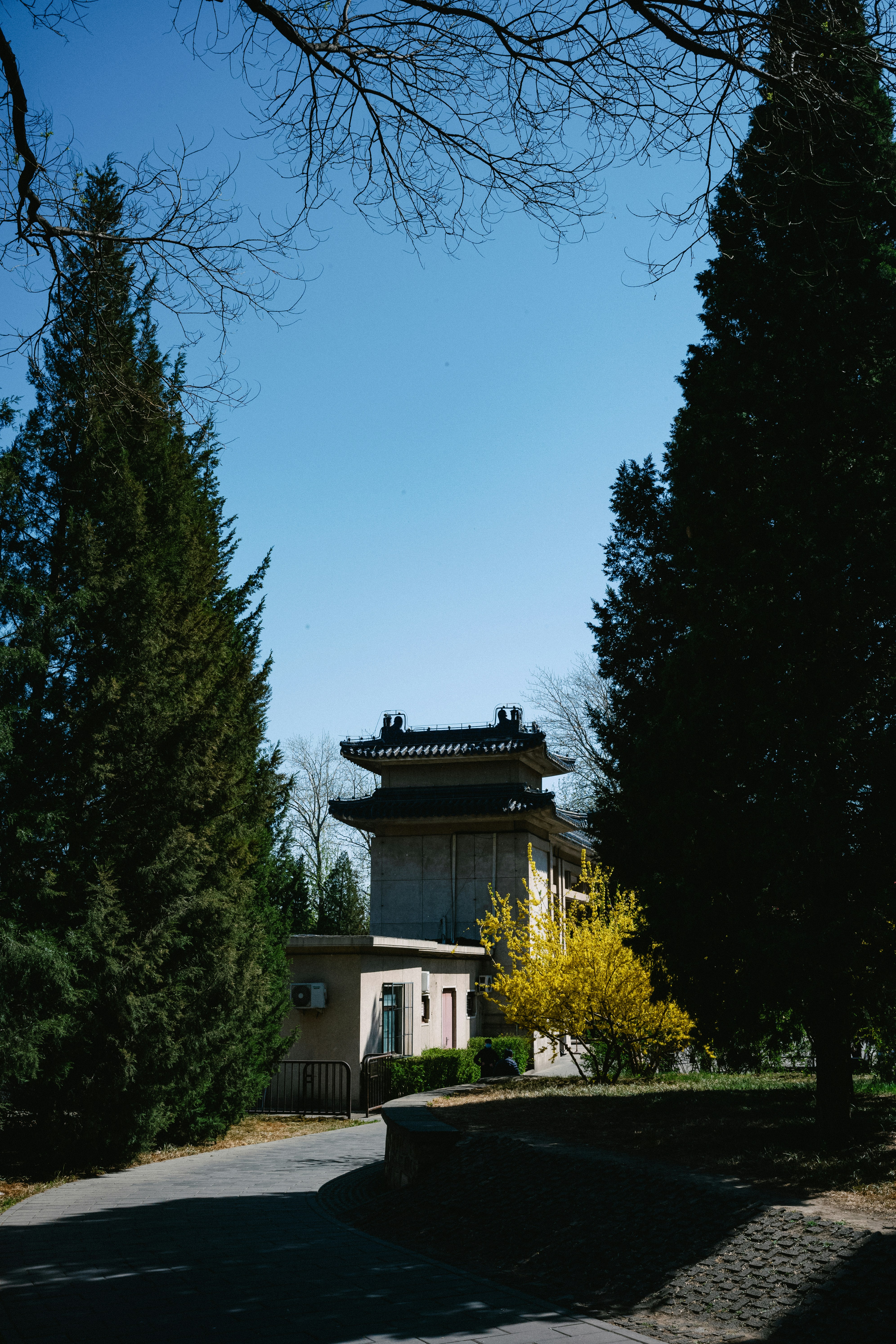 Photo by tommaomaoer