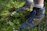 A close-up of a hiker's boots stepping on a mossy forest floor under soft natural light.