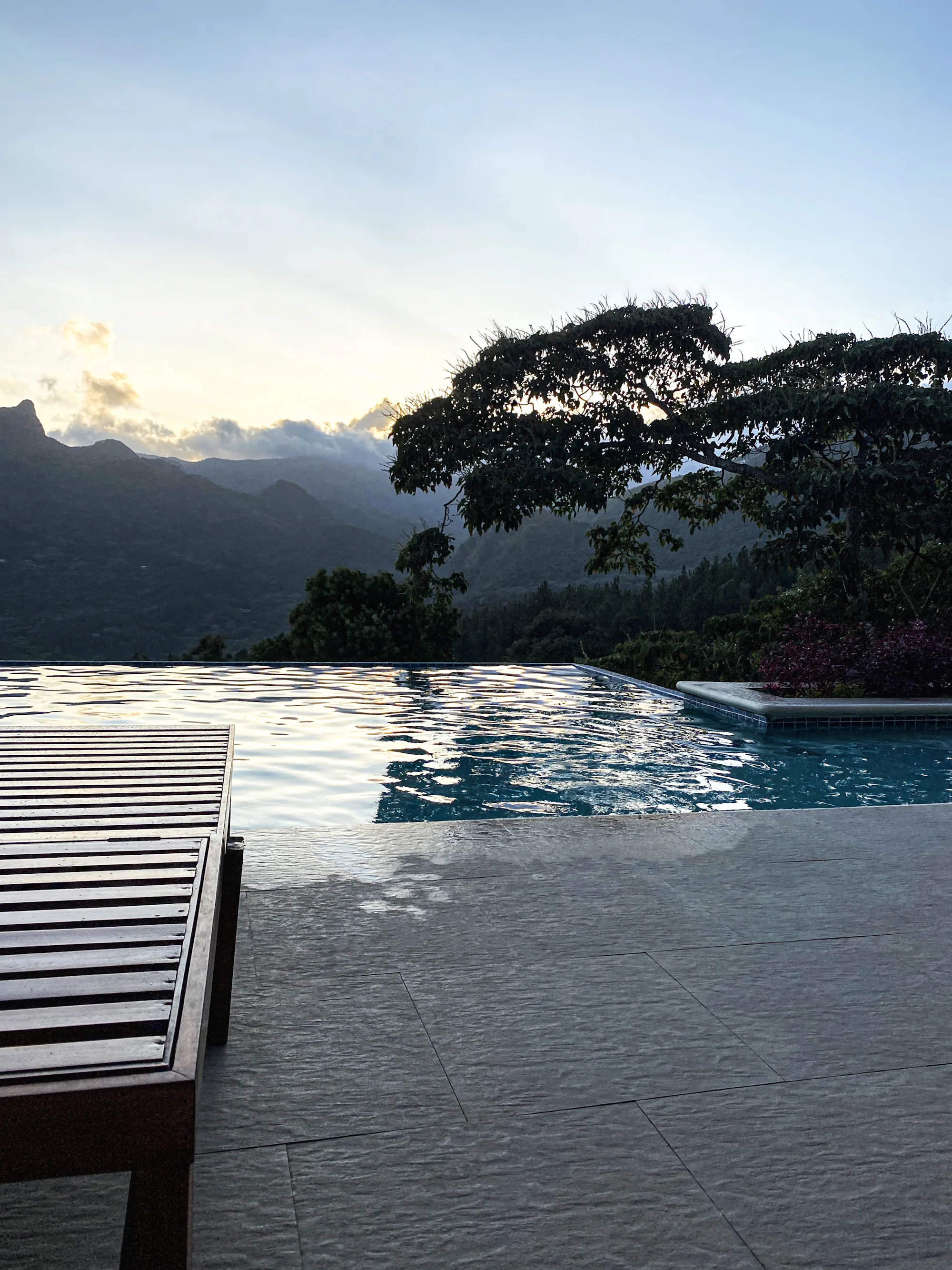 An infinity pool at dusk with hills and a great tree beyond