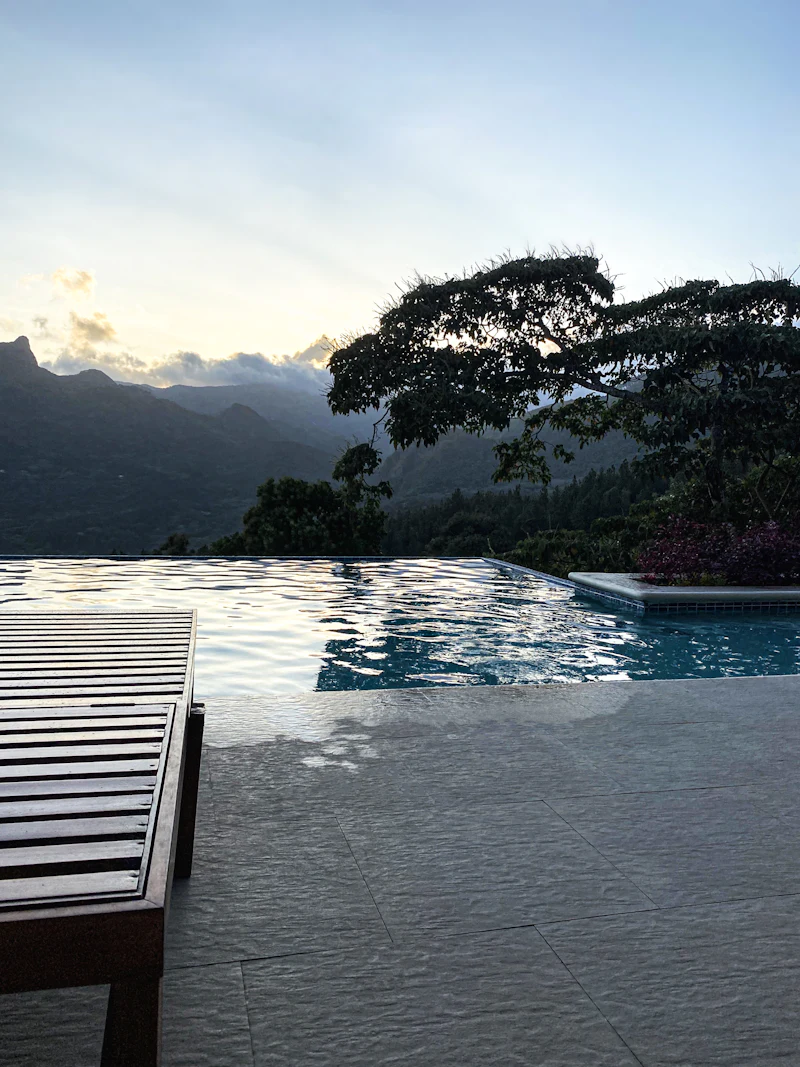 An infinity pool at dusk with hills and a great tree beyond