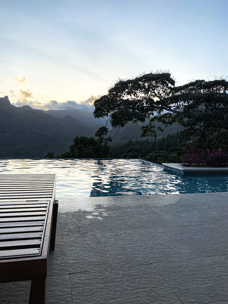 An infinity pool at dusk with hills and a great tree beyond