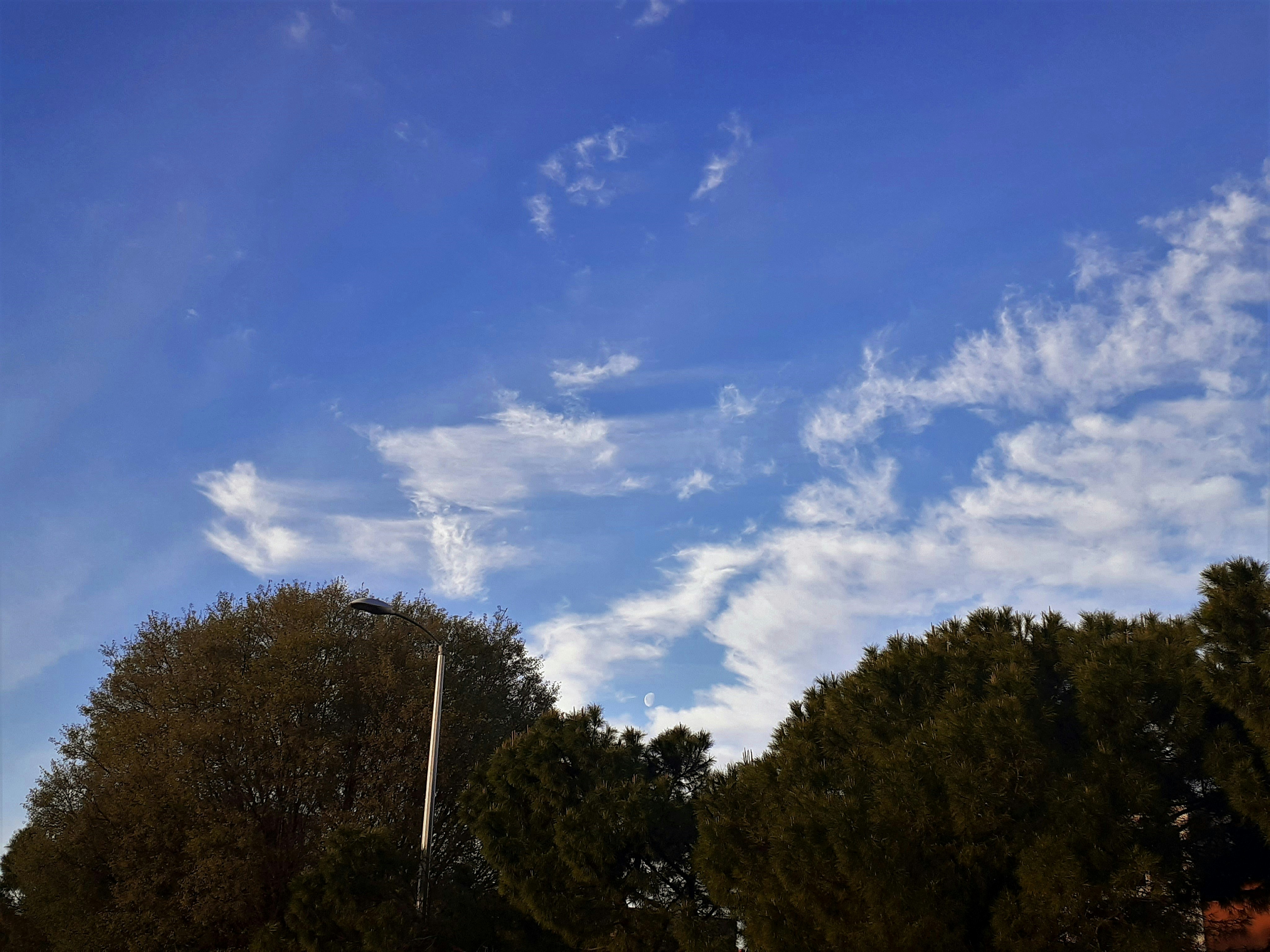 un ciel bleu avec des nuages blancs et quelques arbres