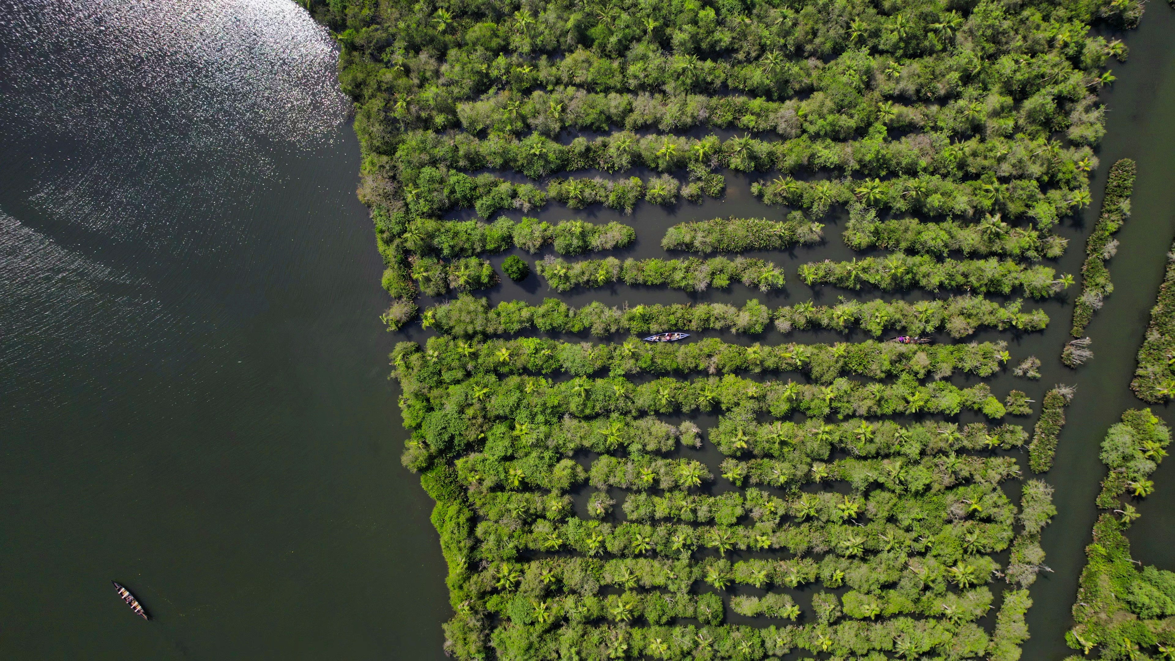 Photo by cymatics_drones