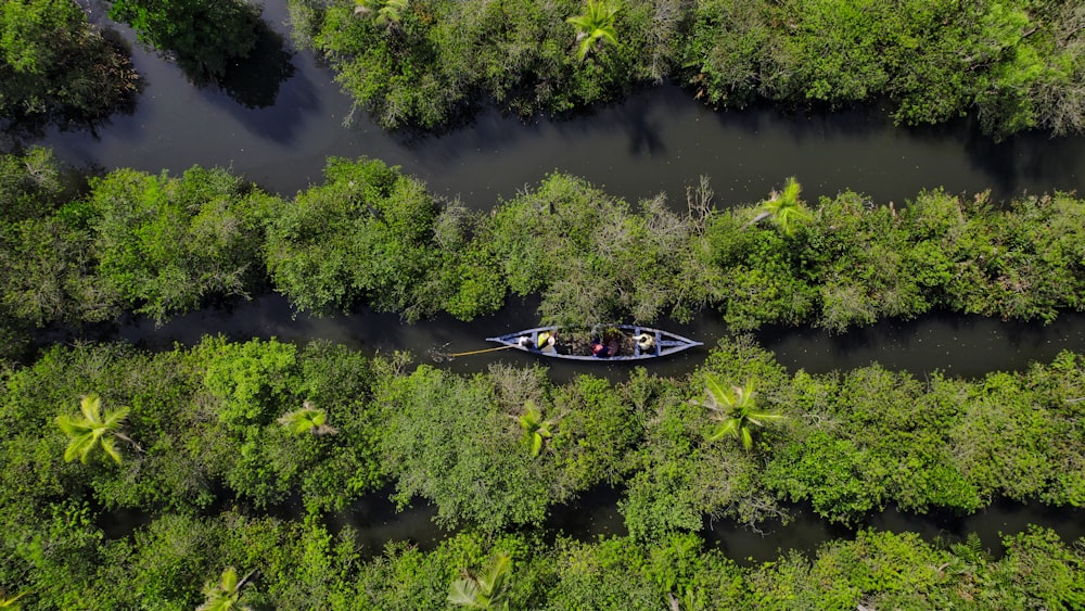 two people in a boat on a river surrounded by trees