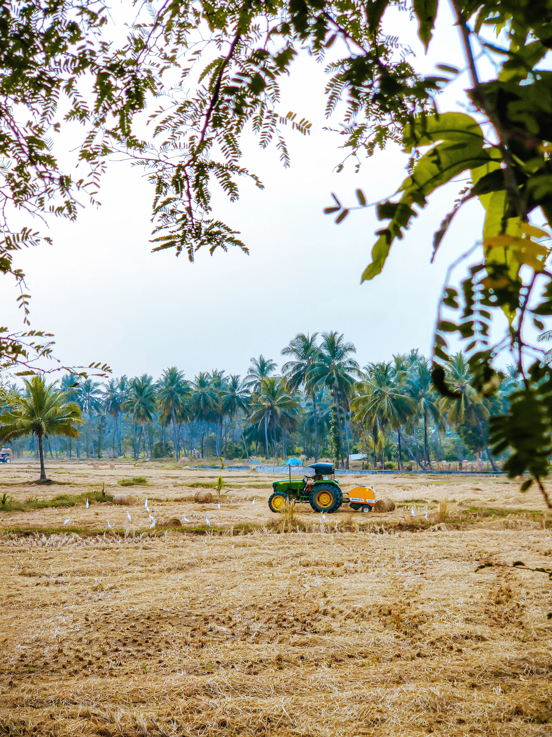 gray computer monitor