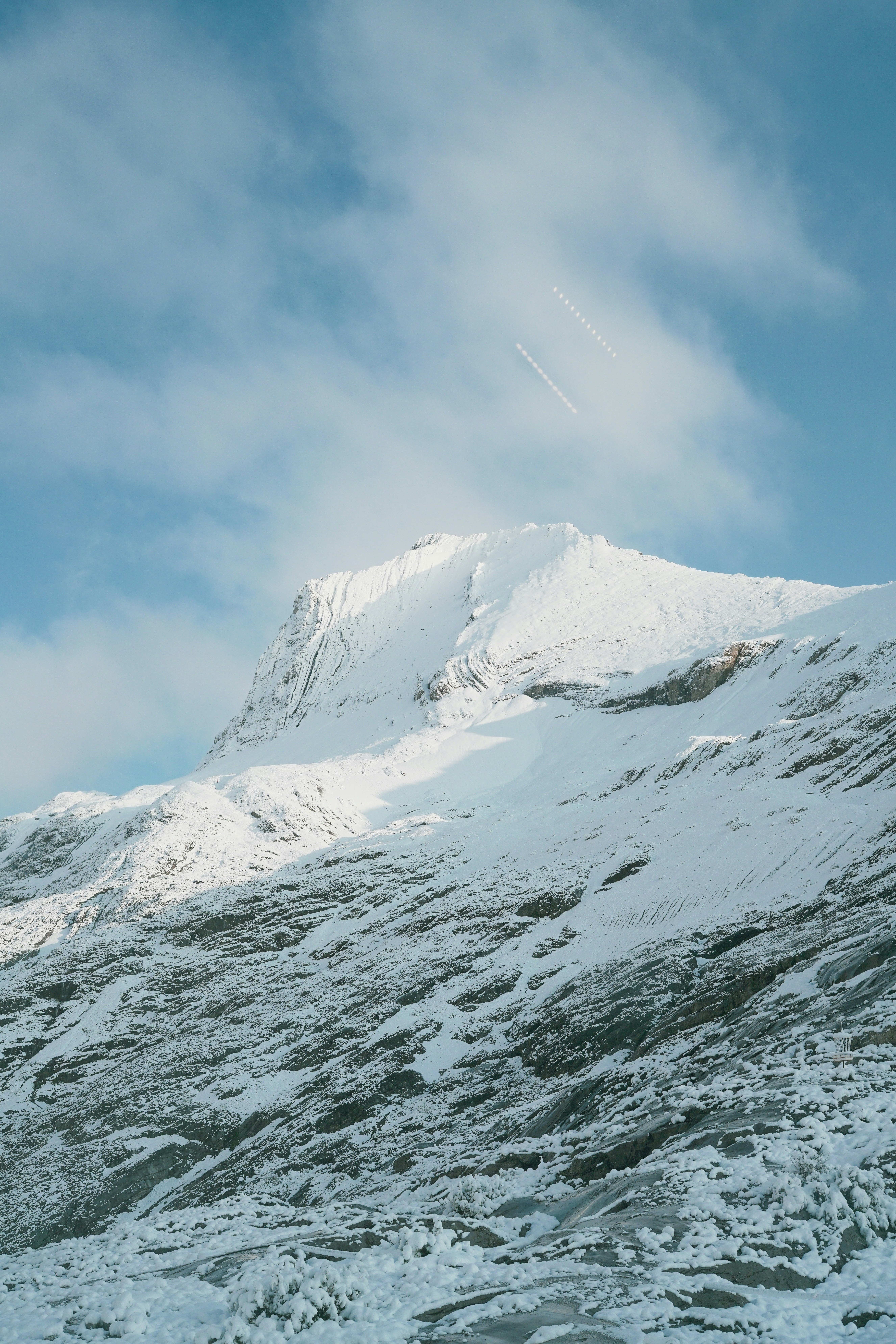 Photo by torinandrewss