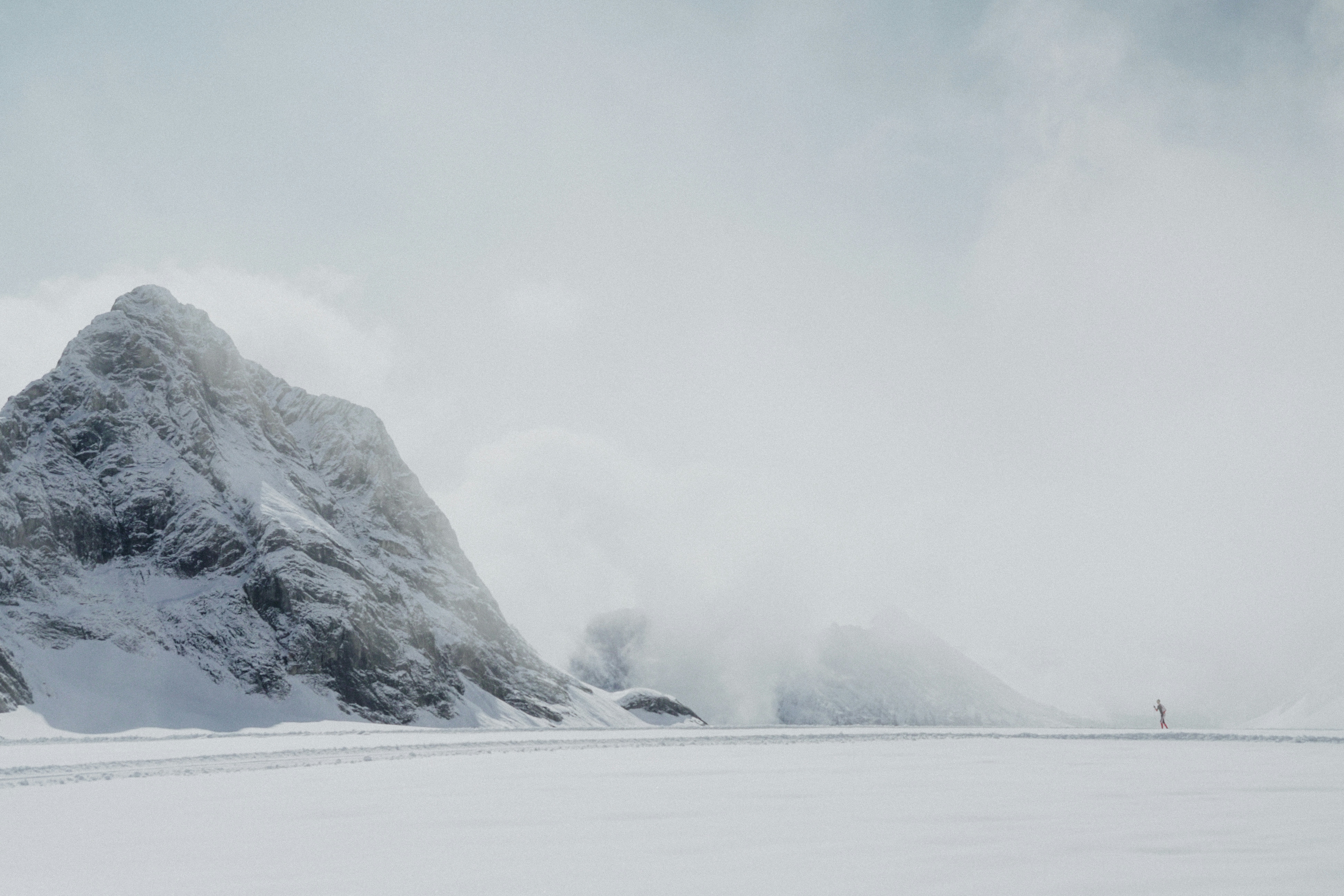 Photo by torinandrewss