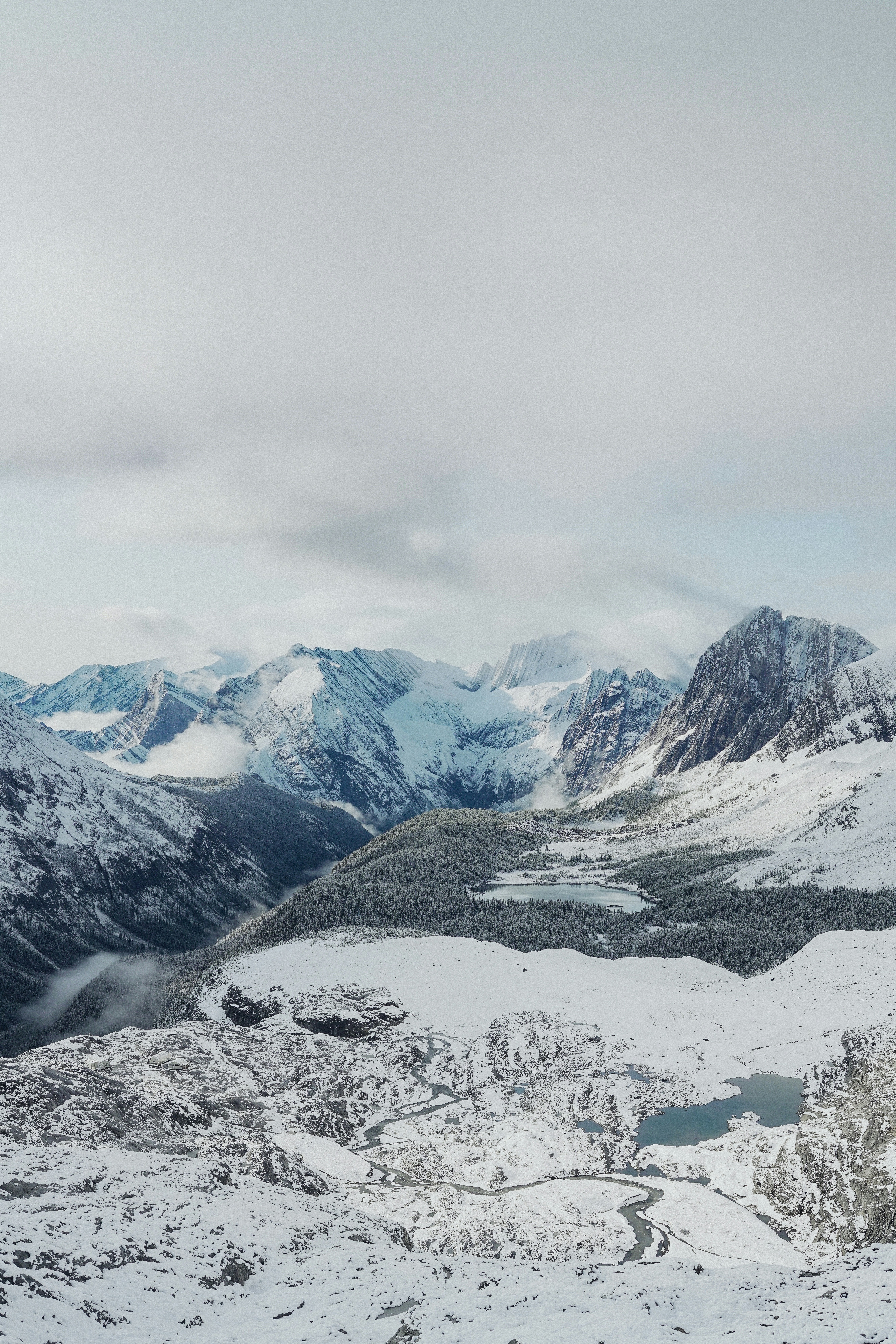 Photo by torinandrewss