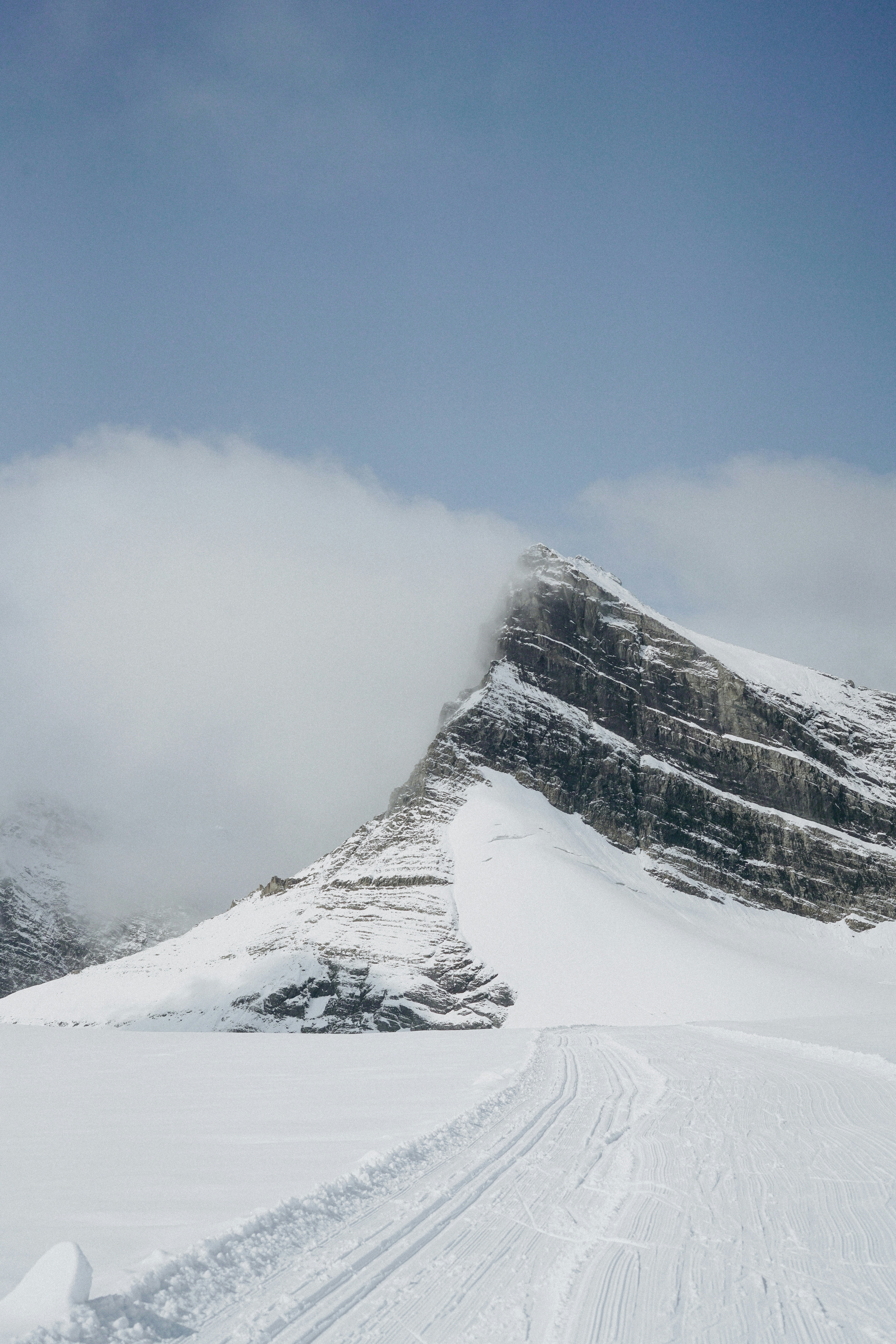 Photo by torinandrewss