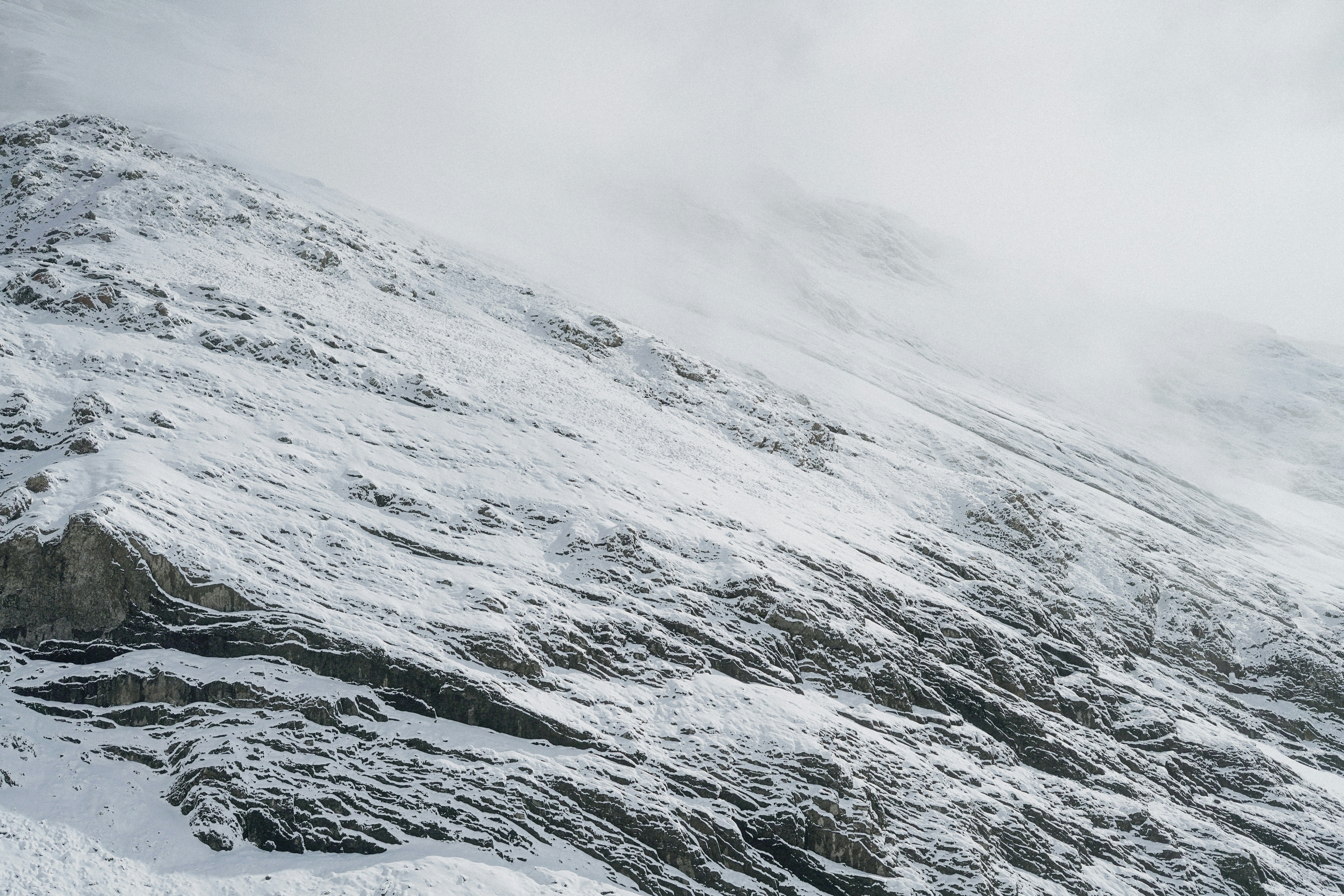 Photo by torinandrewss