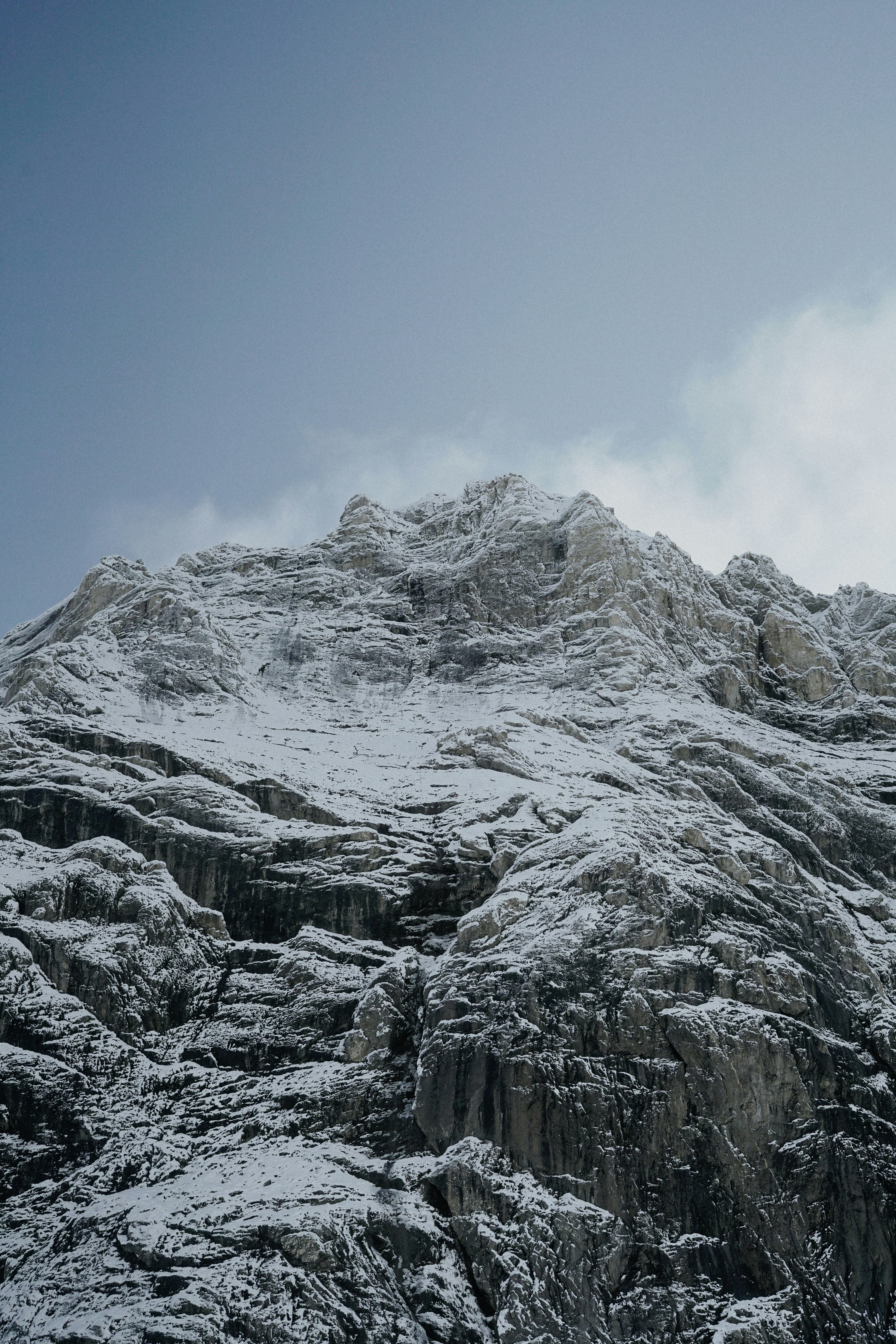 Photo by torinandrewss