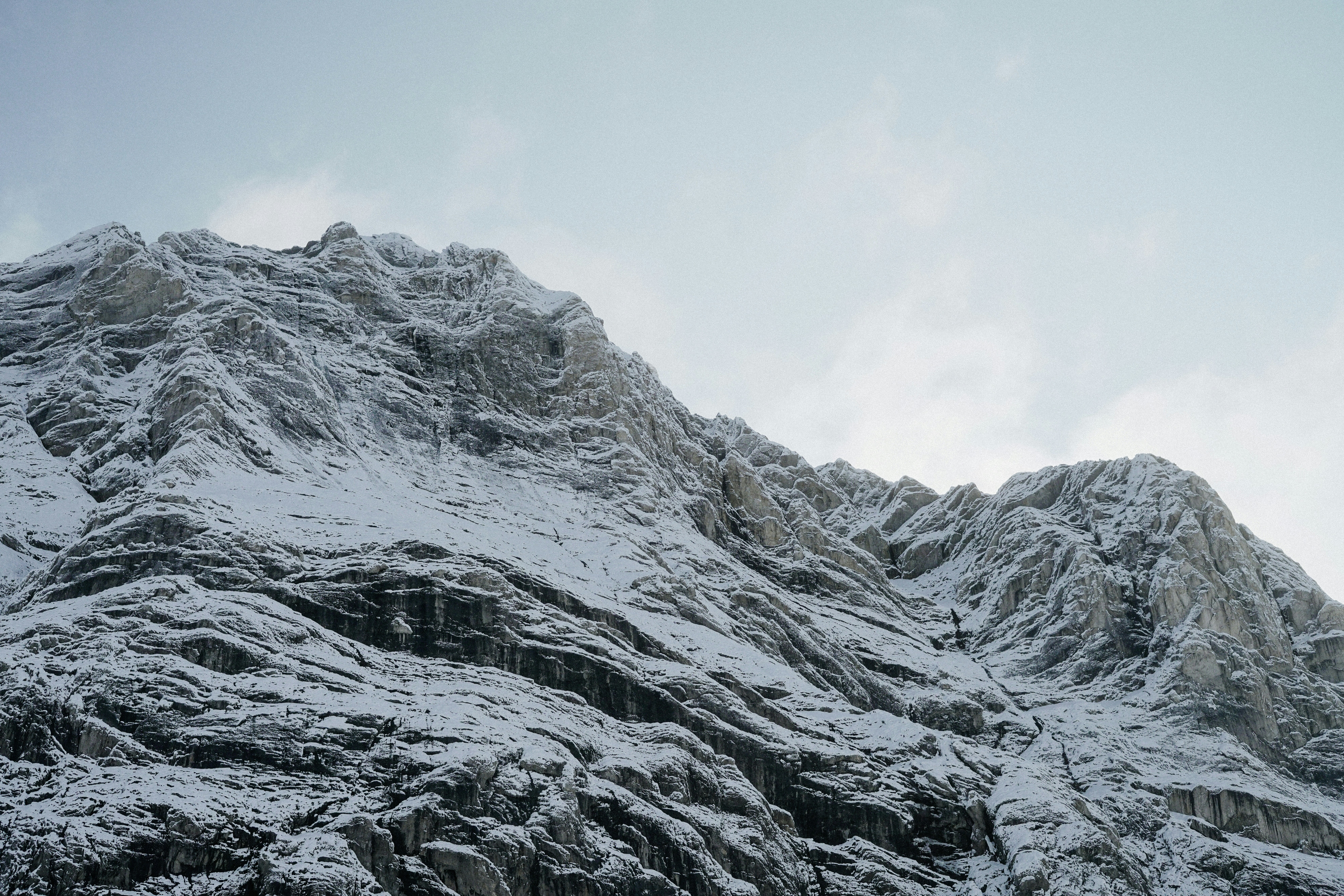 Photo by torinandrewss