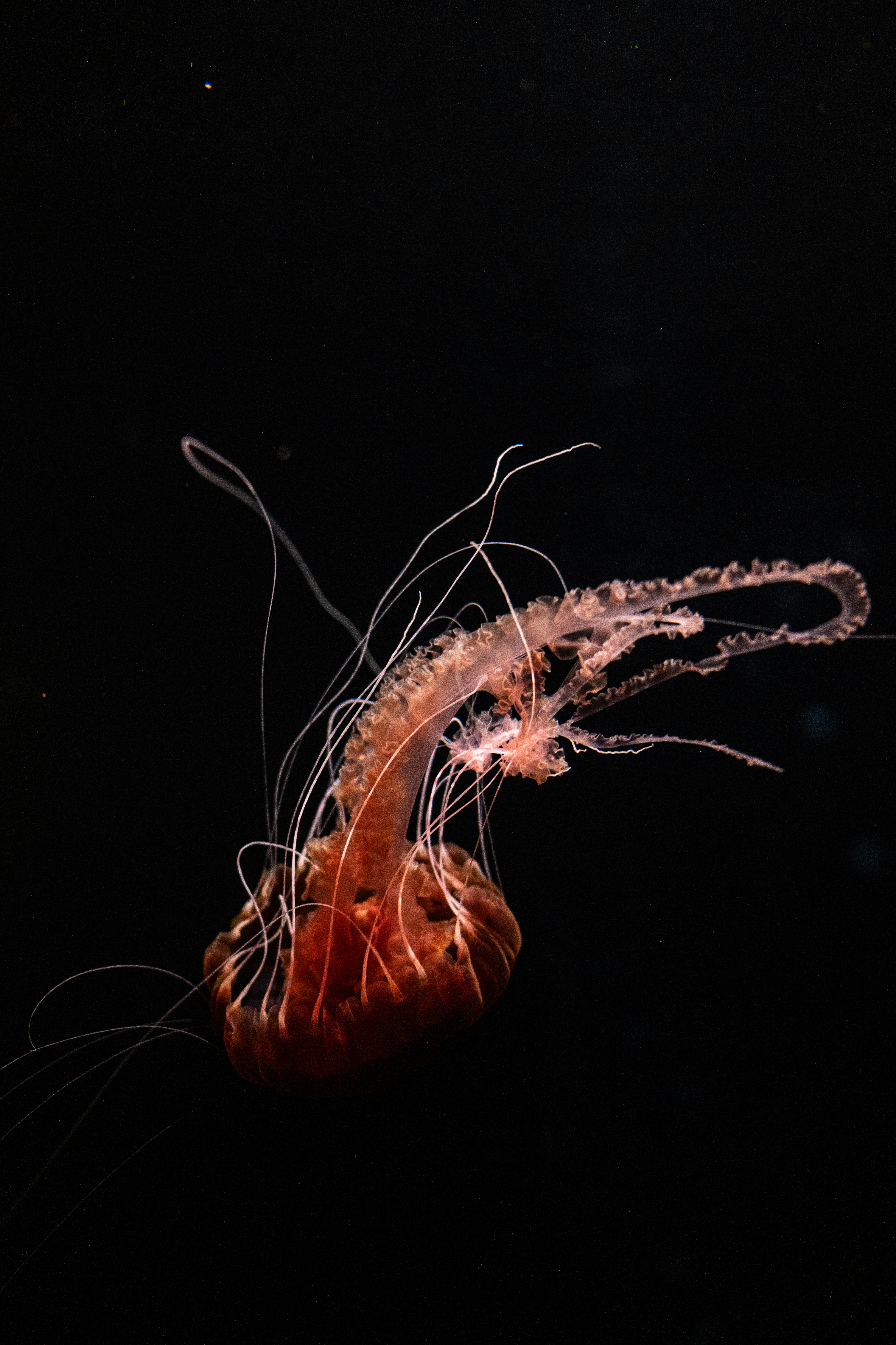 Photo by filipp_roman_photography