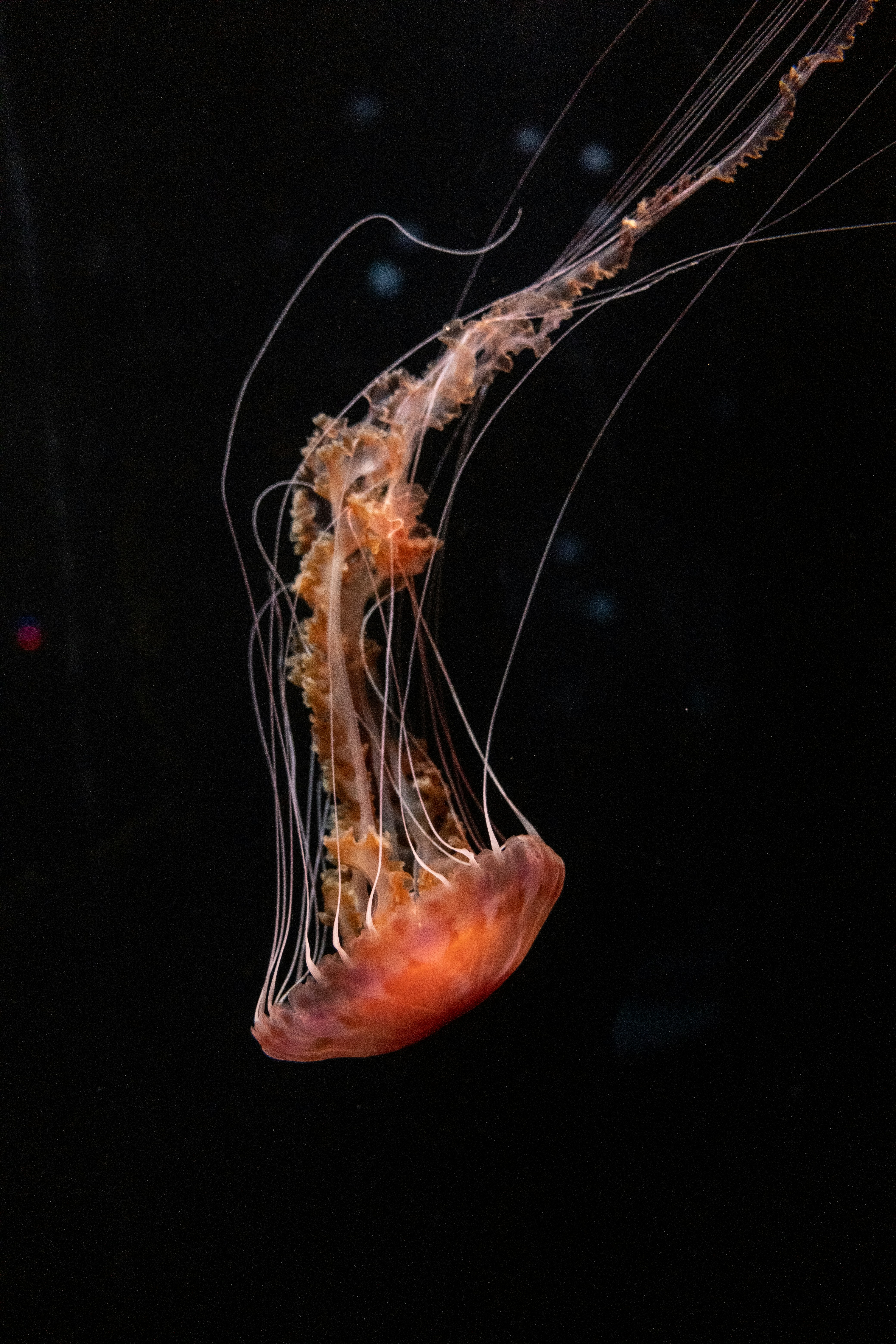 Photo by filipp_roman_photography