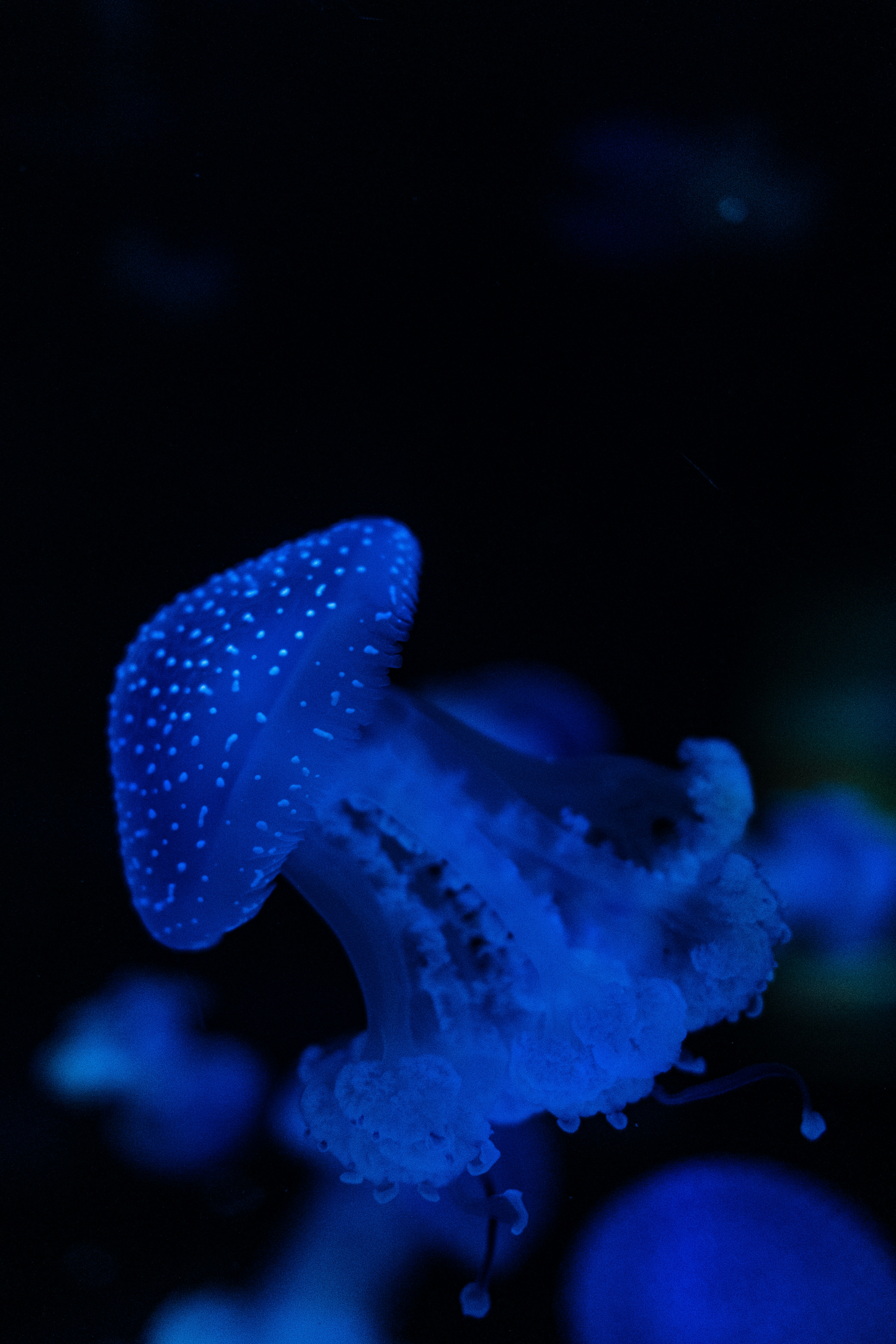 Photo by filipp_roman_photography