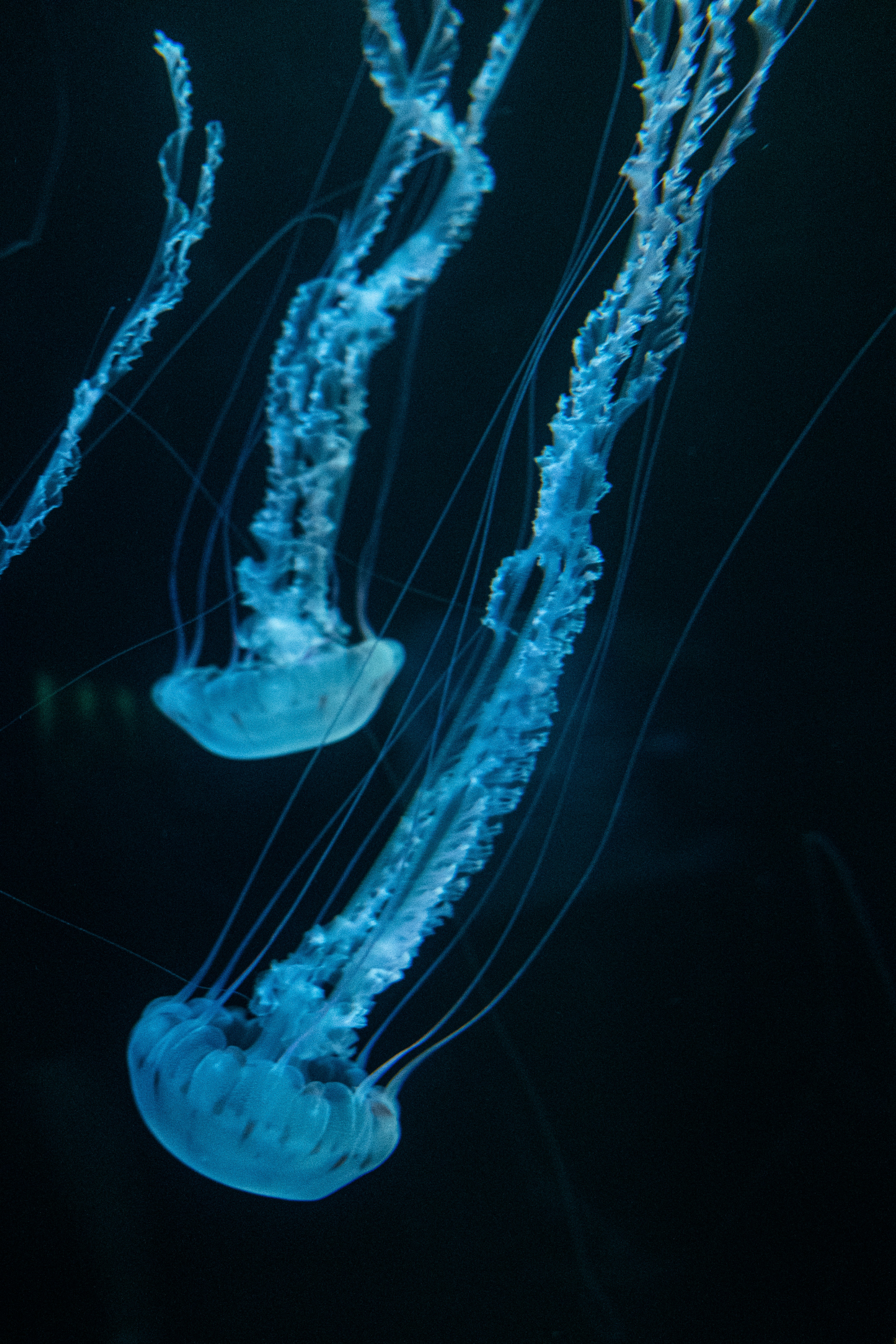 Photo by filipp_roman_photography