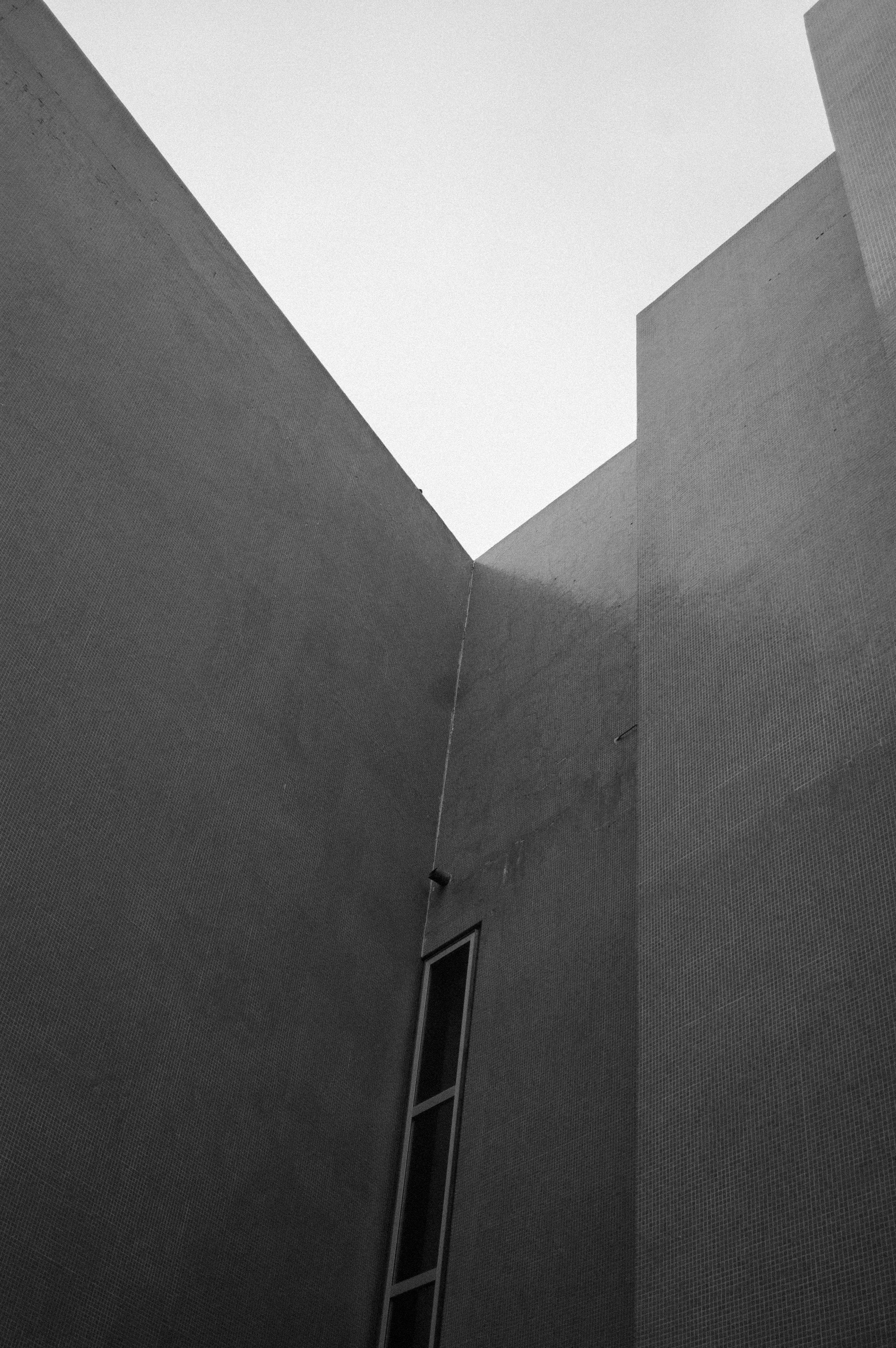 Photo by shoku_shoku