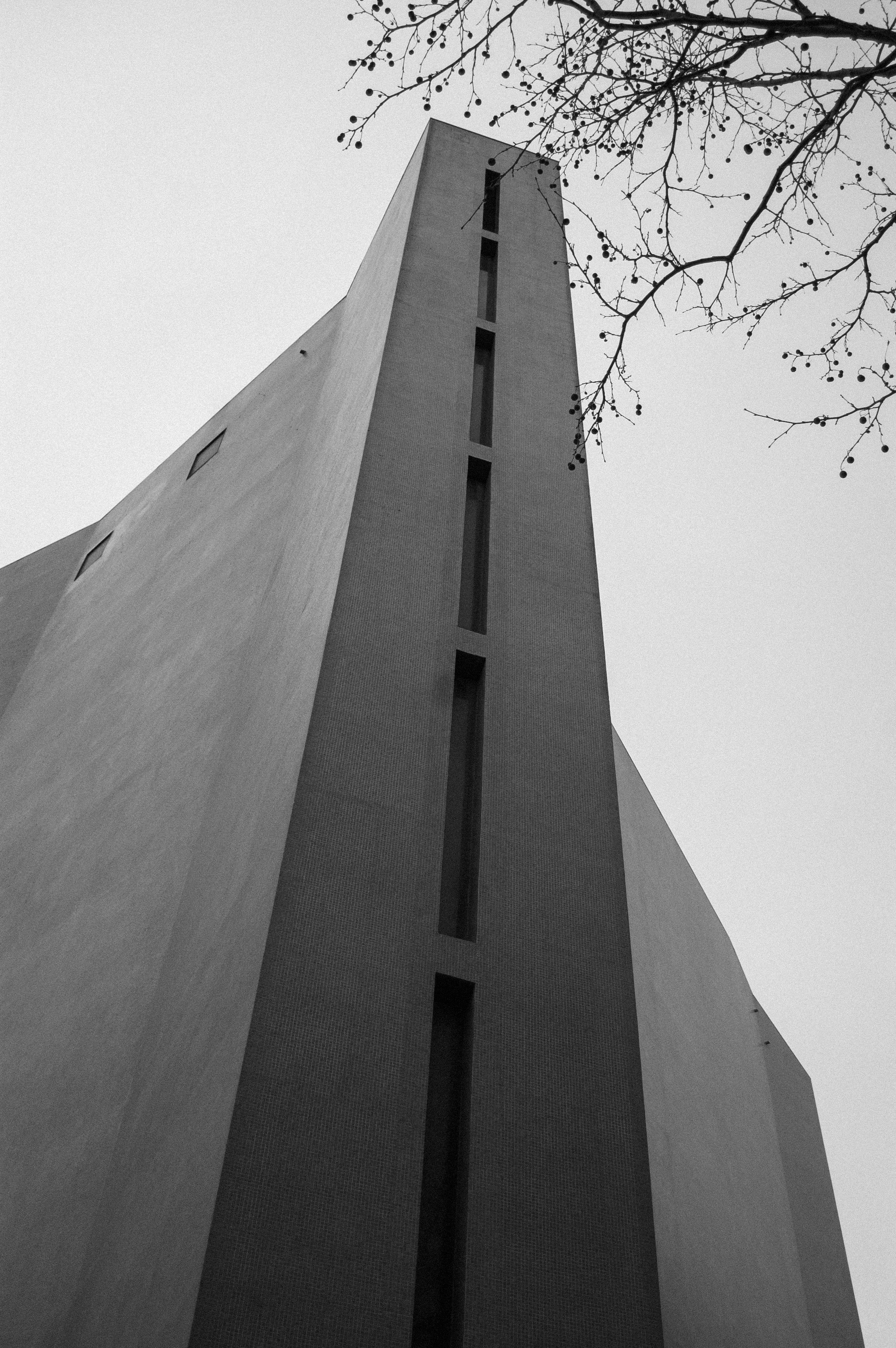 Photo by shoku_shoku