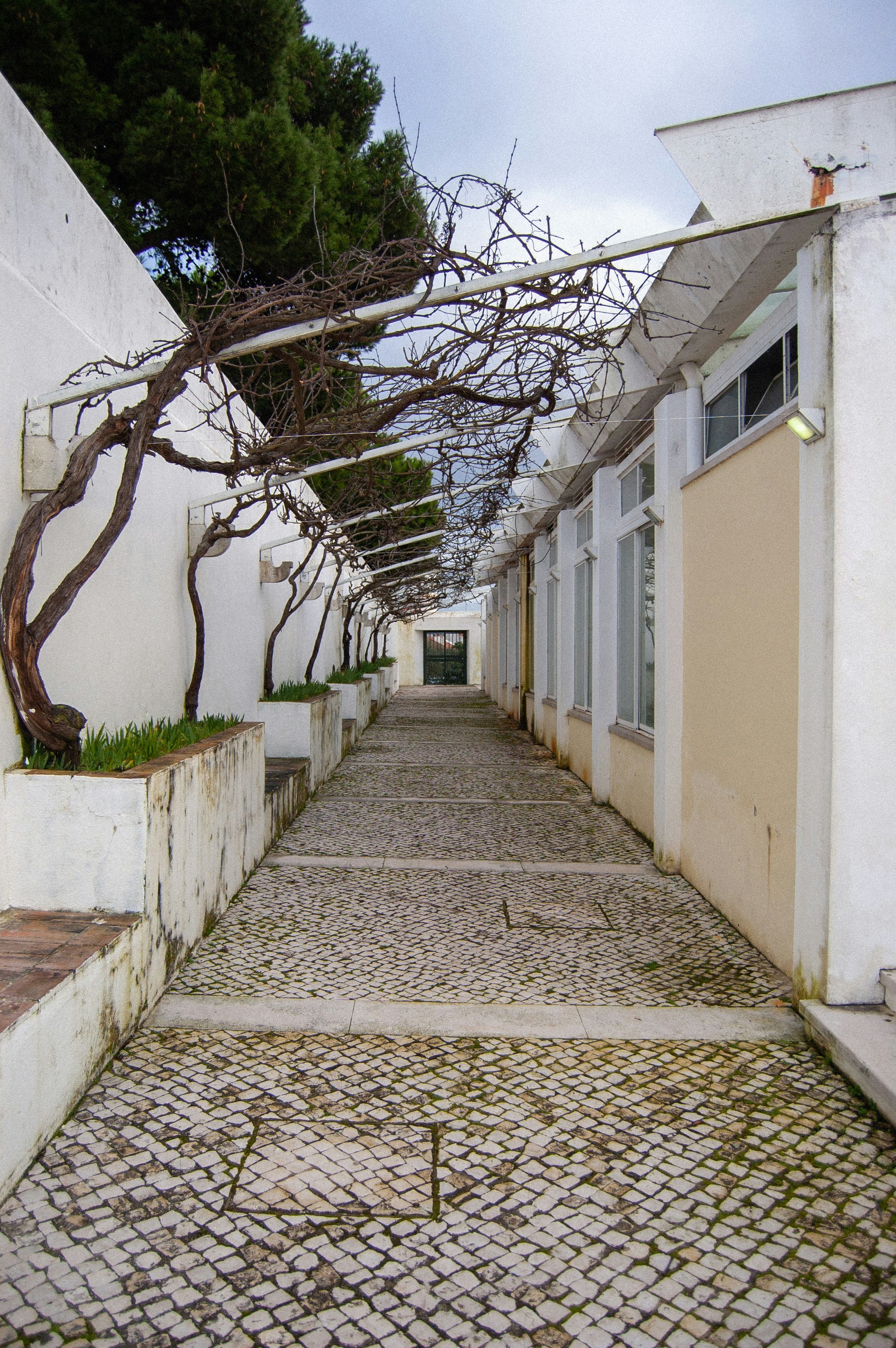 Photo by shoku_shoku