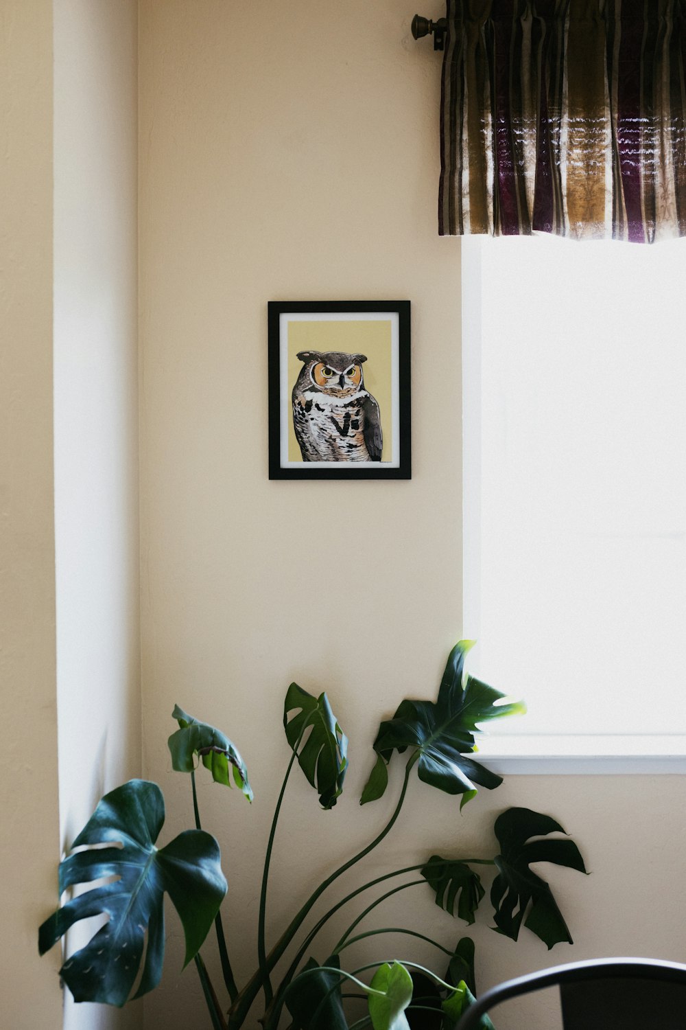 a room with a potted plant and a picture on the wall