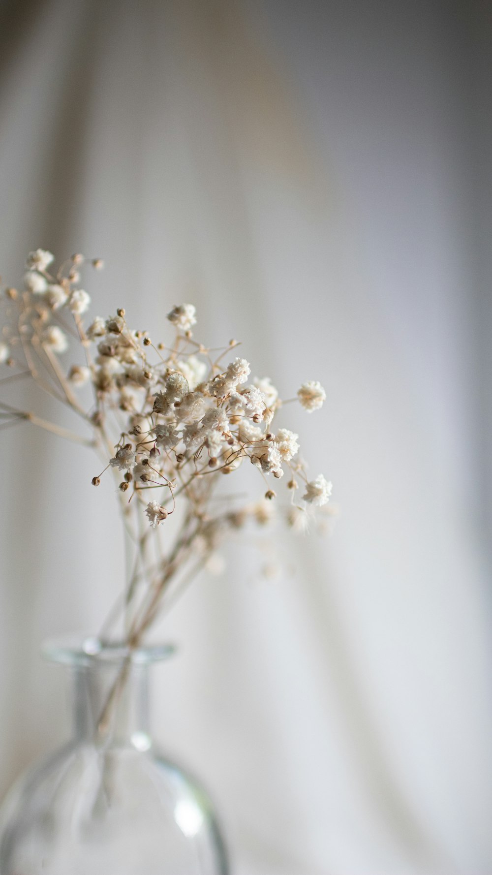 um vaso cheio de flores brancas em cima de uma mesa