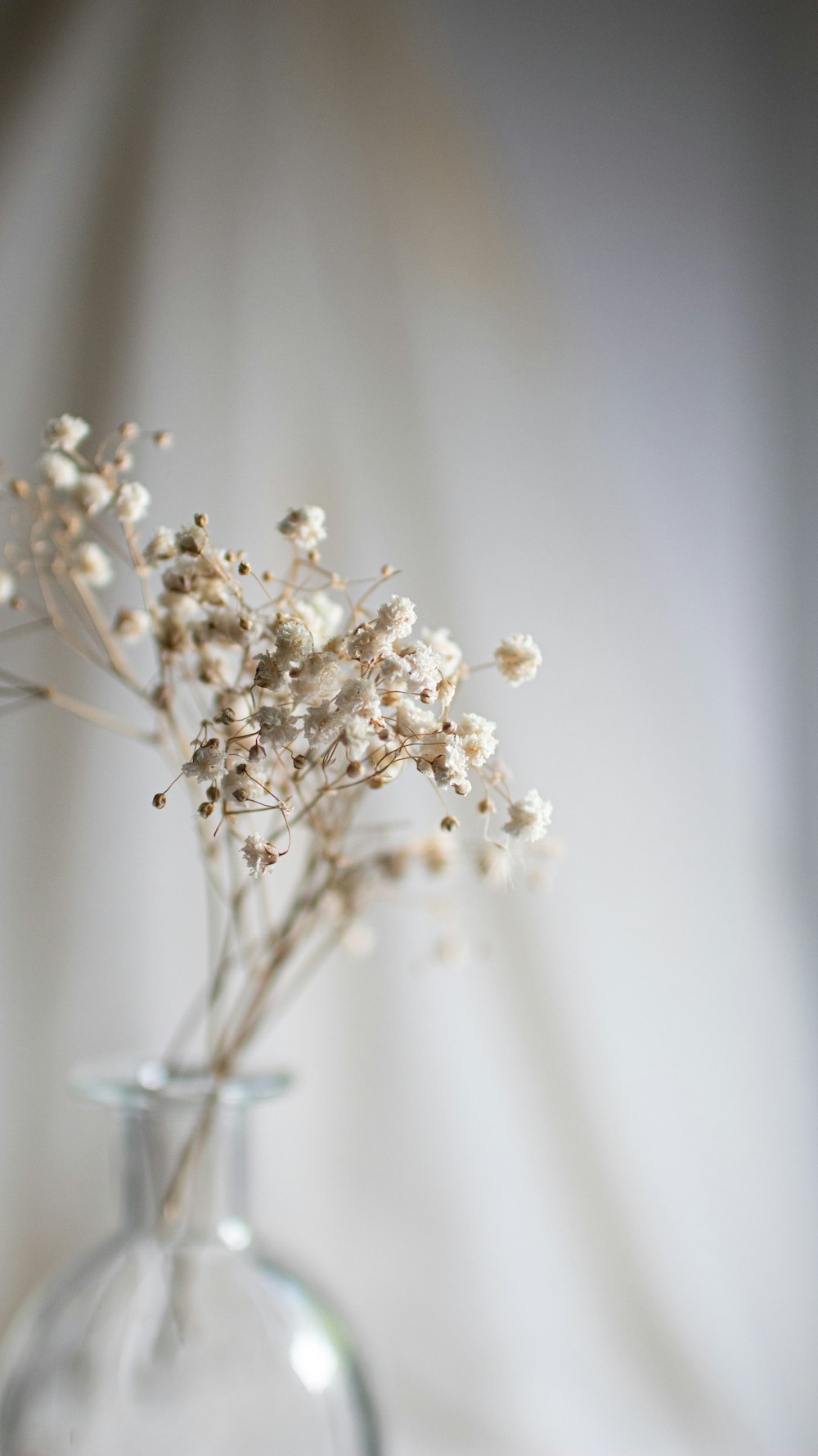 a vase filled with white flowers on top of a table