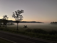 A serene countryside scene at dawn, evoking calm and natural beginnings.