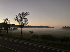 A peaceful sunrise over a quiet road symbolizing new beginnings and spiritual journeys.