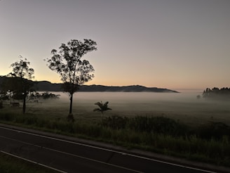 A serene countryside scene at dawn, evoking calm and natural beginnings.
