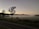 A serene landscape at dawn with a road in the foreground, a misty field extending into the distance, and silhouettes of trees against a pastel sky. The scene conveys a sense of tranquility and calmness.