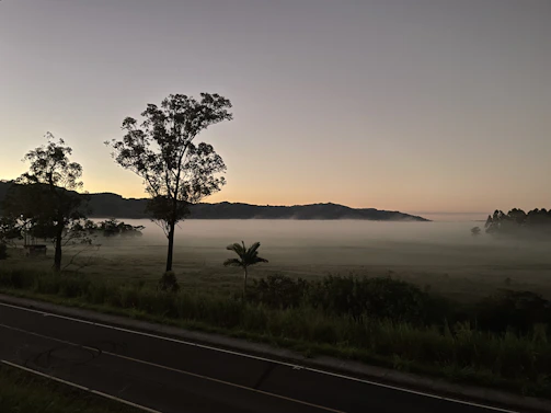 A serene landscape at dawn reflecting calm and new beginnings, echoing the brand’s philosophy.