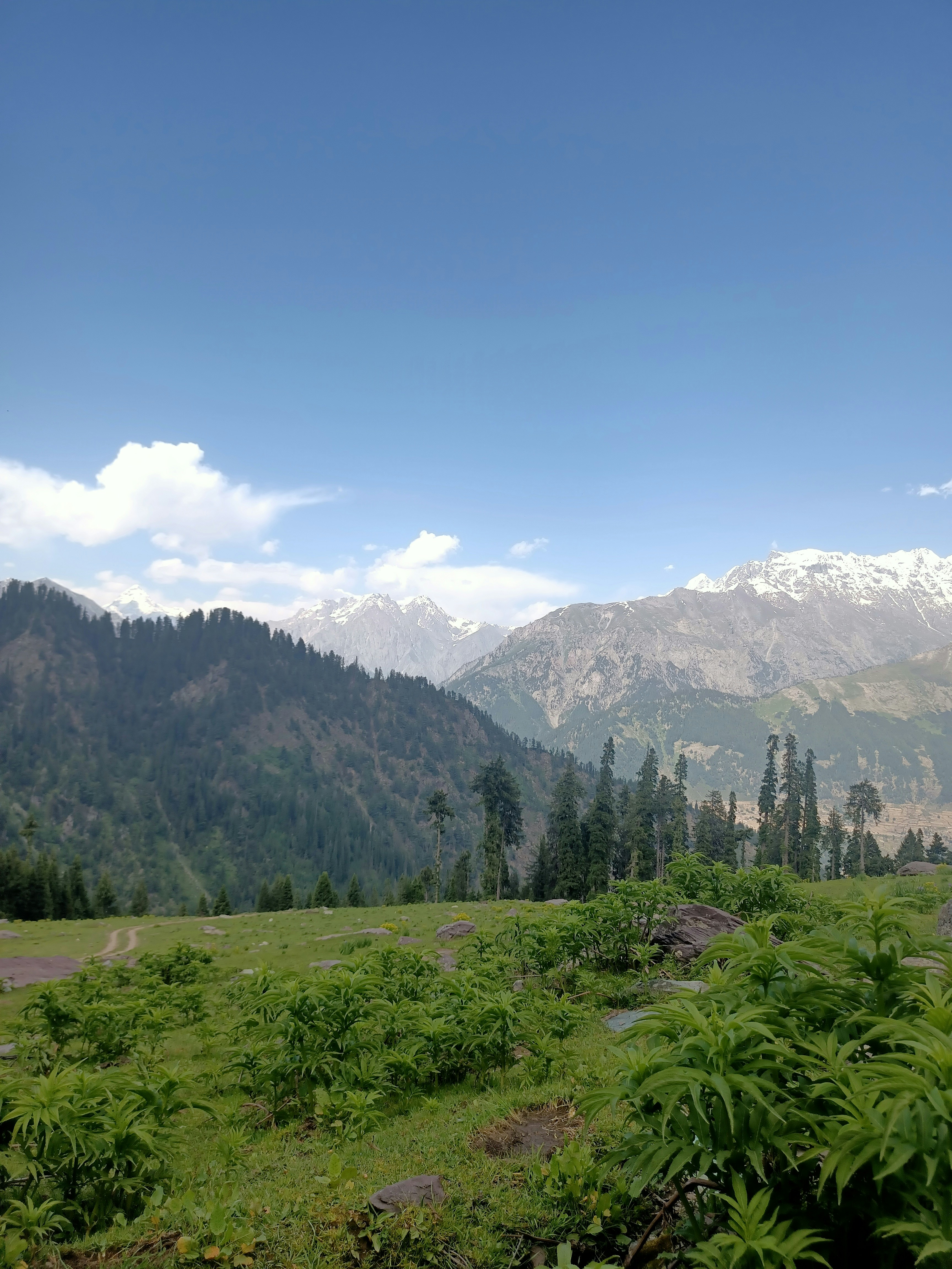 Photo 1681232867461 707b033b80cd?ixid=M3w0MzUxNjF8MHwxfHNlYXJjaHwxMnx8U3dhdCUyMHZhbGxleXN8ZW58MHx8fHwxNzYyOTUyMDg5fDA&ixlib=rb 4.1