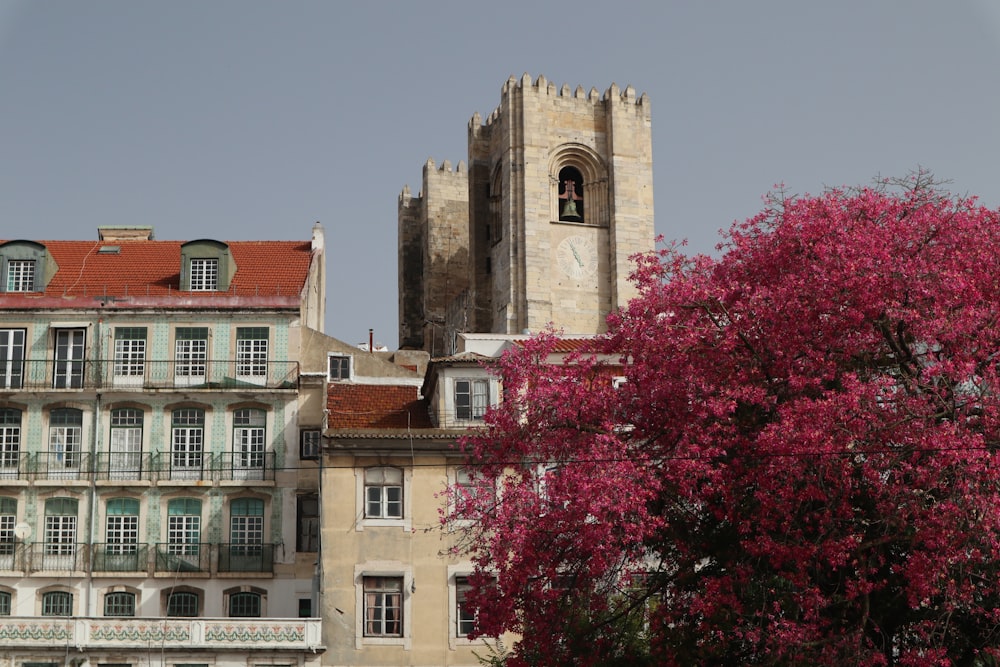 a tall building with a clock tower next to a tree