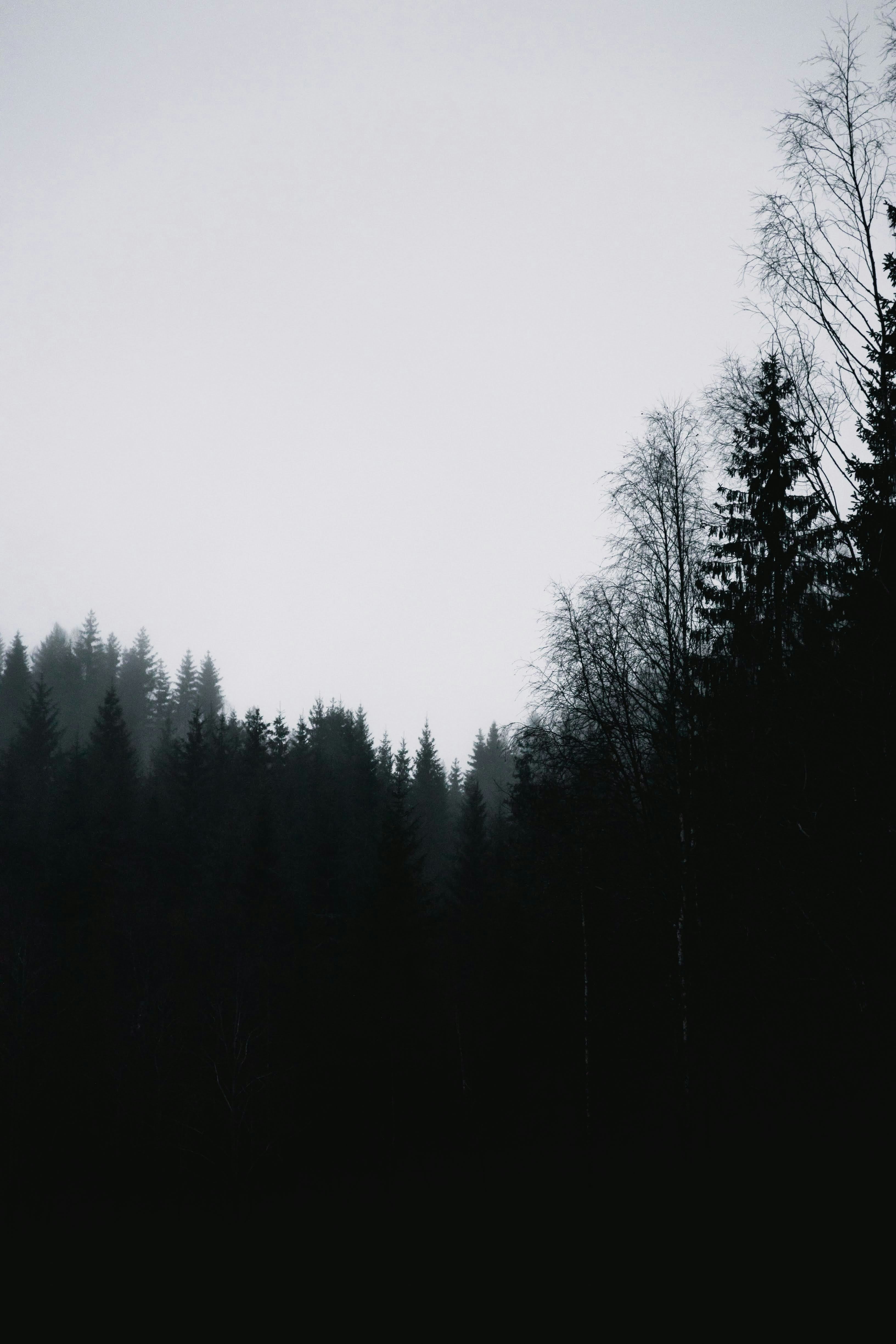 Photo by emil_karlsen