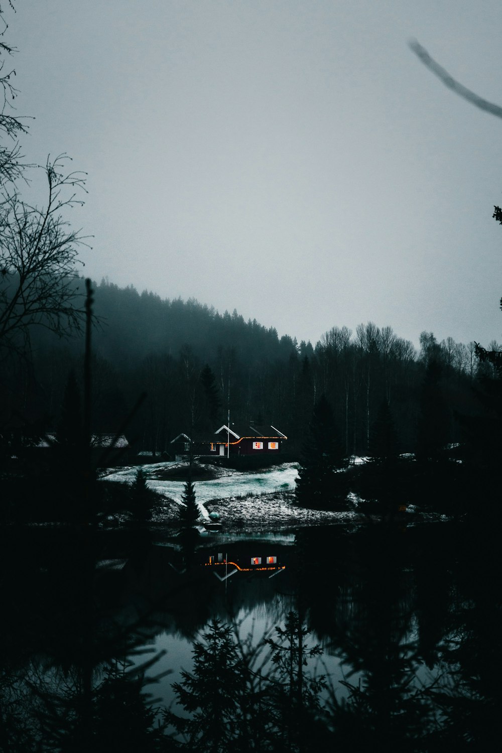 a small house sitting in the middle of a forest