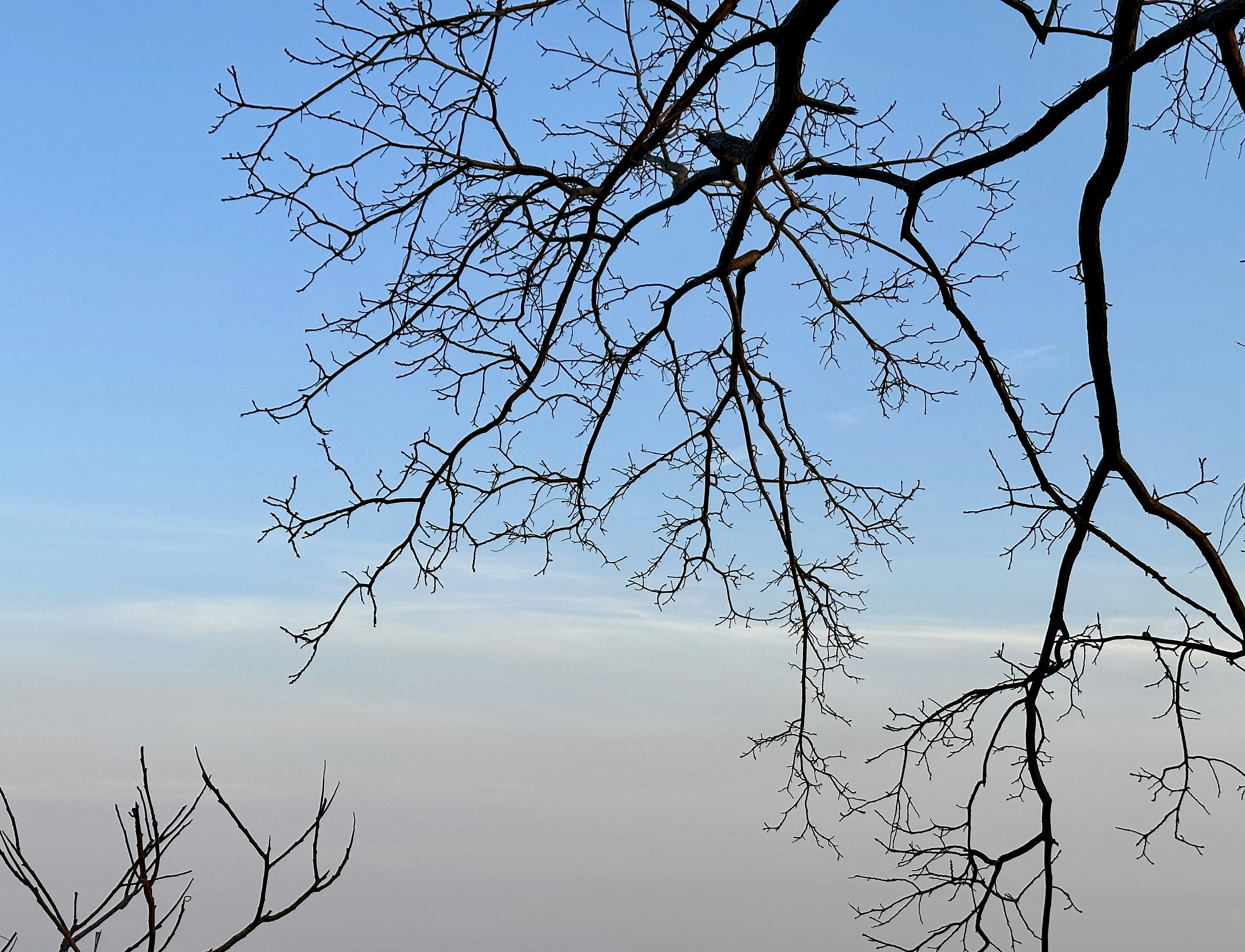 Photo by bhadreshwara