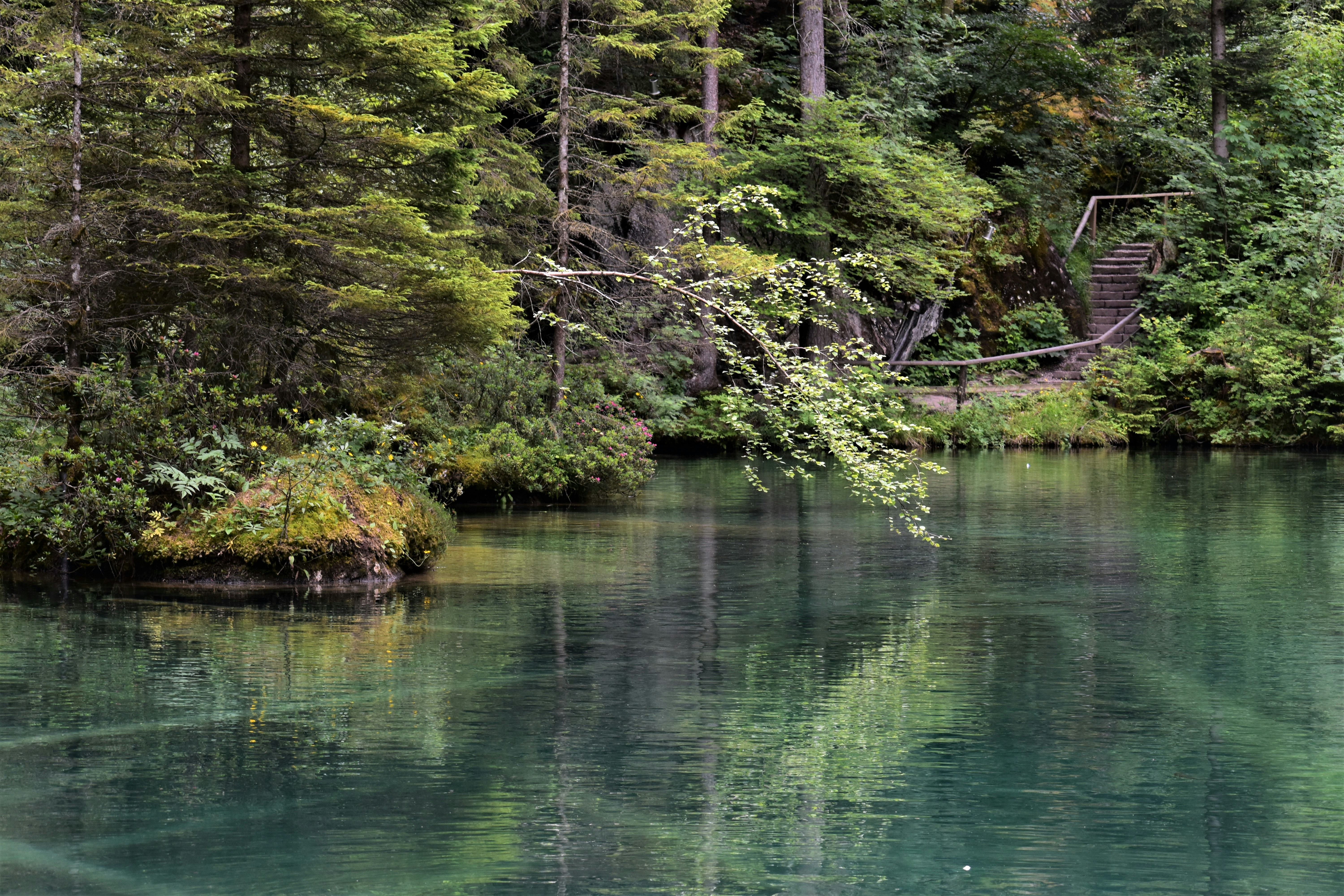 Photo by danielelarosa