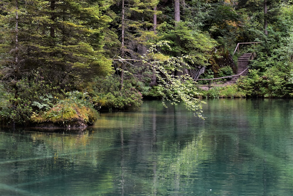 a body of water surrounded by trees and stairs