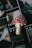 A red and white spotted mushroom sits on top of several film strips that feature various images, including a knife and nature scenes. Text on the film strip below the mushroom is partially legible, referencing a monster.