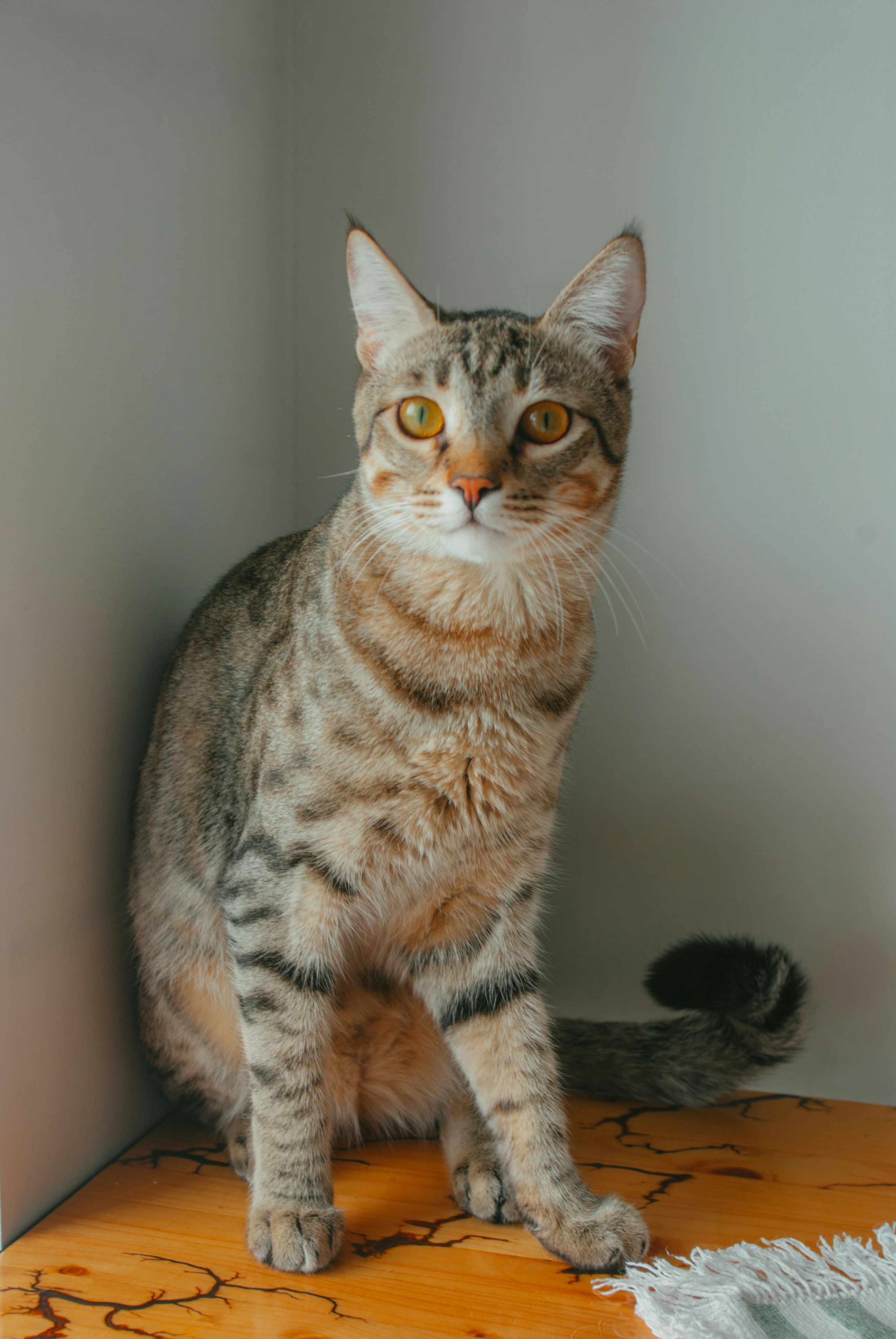 Photo by moonmoons_days