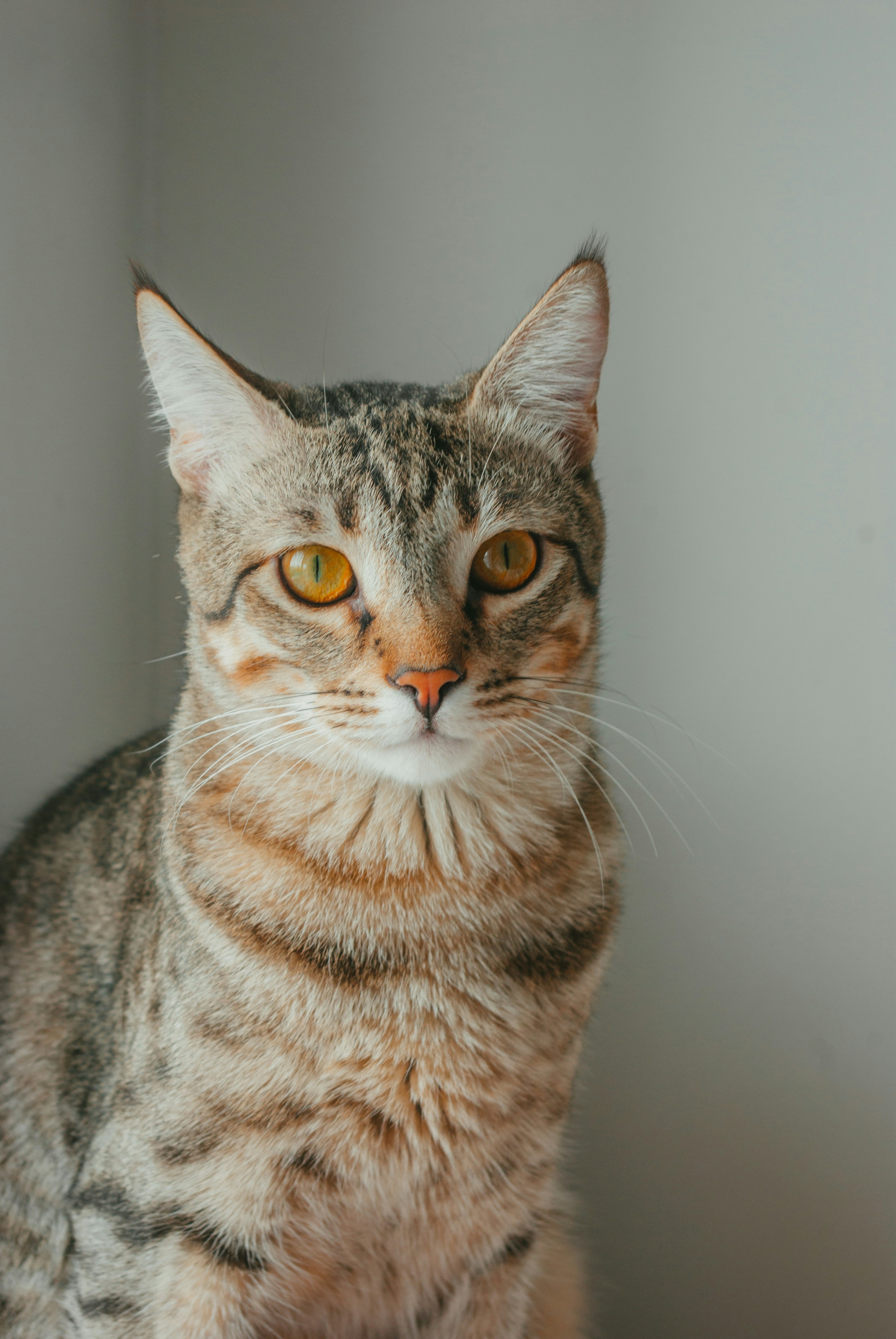 Photo by moonmoons_days