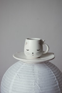 Ceramic Cat Bowl