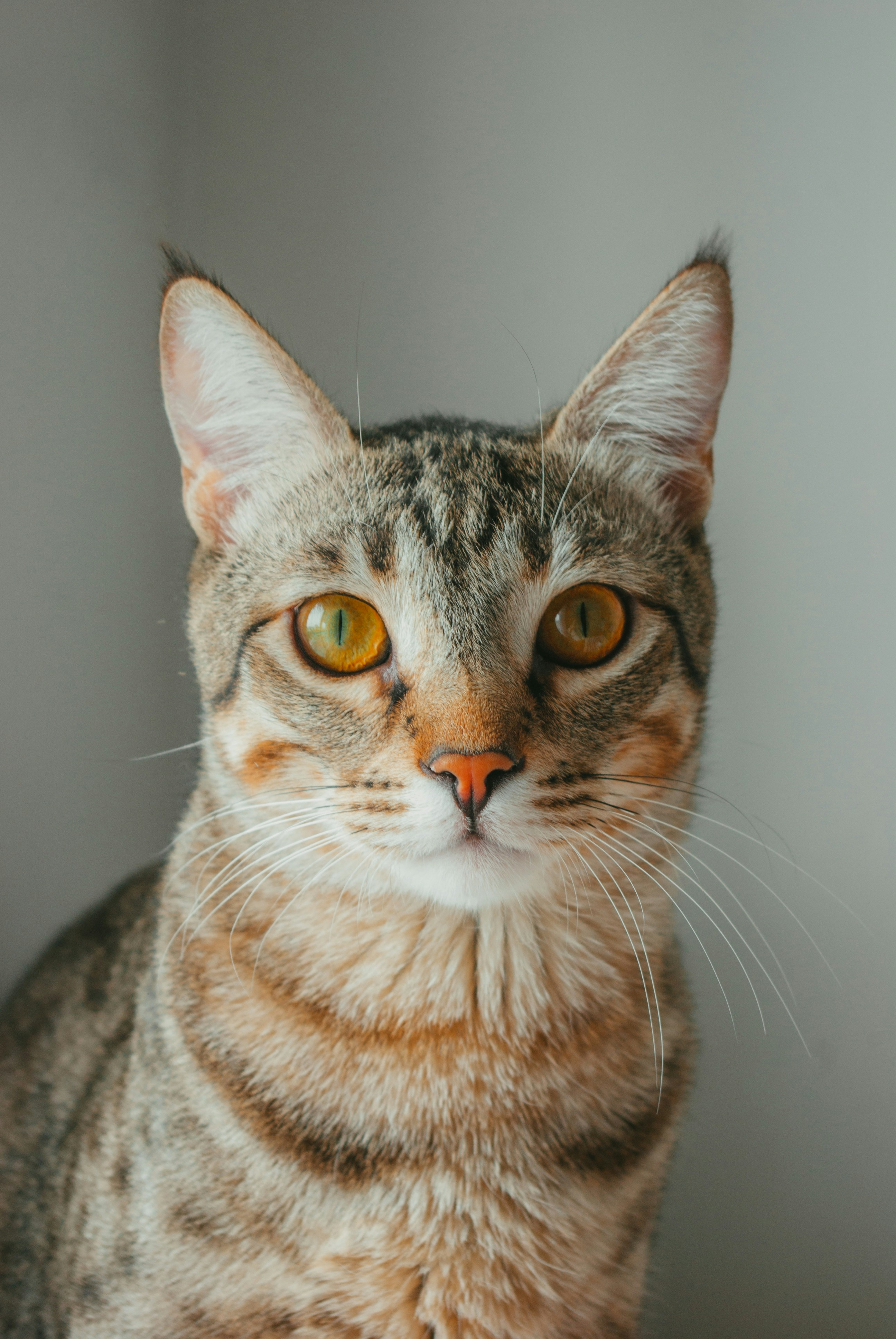 Photo by moonmoons_days