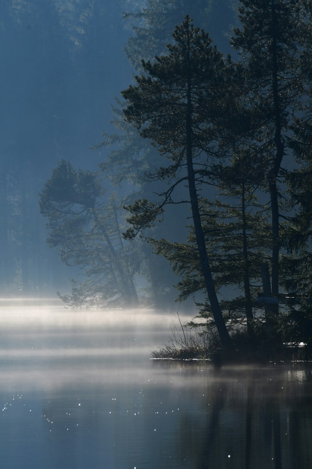 un lac brumeux avec des arbres en arrière-plan